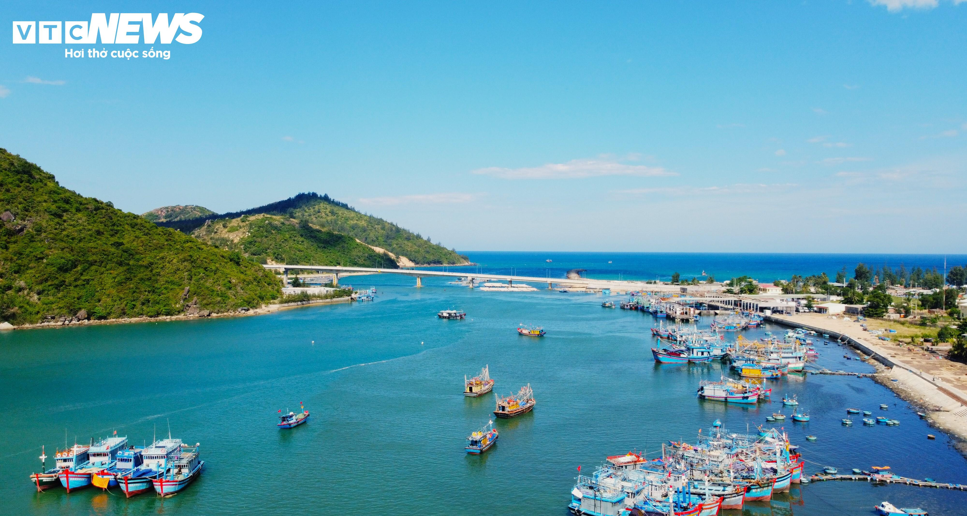 Ngắm vẻ nhộn nhịp 'trên bến dưới thuyền' tại cảng cá Quy Nhơn trước khi di dời - 12