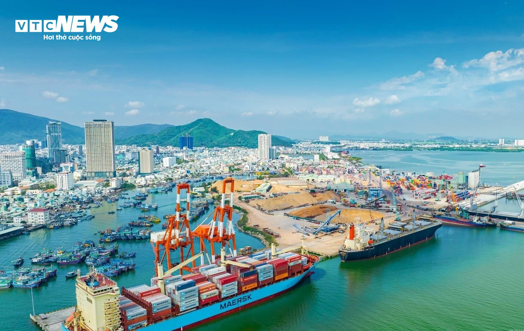 Ngắm vẻ nhộn nhịp 'trên bến dưới thuyền' tại cảng cá Quy Nhơn trước khi di dời - 3