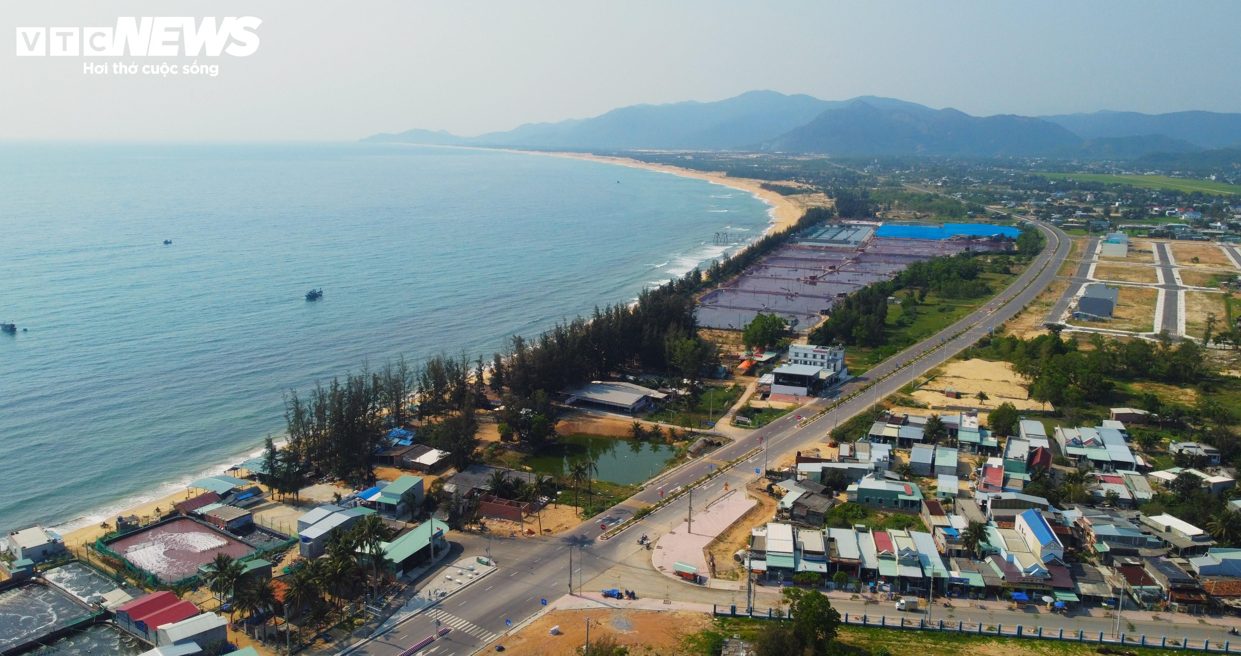 Ngắm vẻ nhộn nhịp 'trên bến dưới thuyền' tại cảng cá Quy Nhơn trước khi di dời - 13