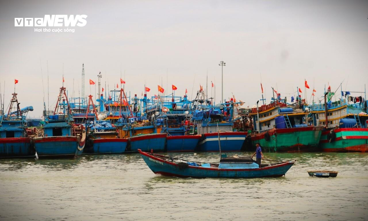 Ngắm vẻ nhộn nhịp 'trên bến dưới thuyền' tại cảng cá Quy Nhơn trước khi di dời - 5