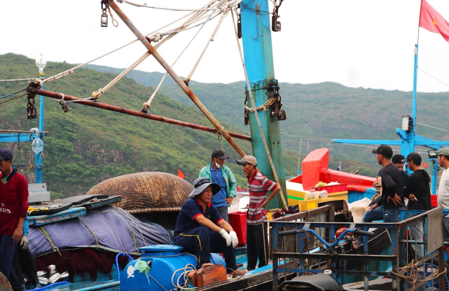 Ngắm vẻ nhộn nhịp 'trên bến dưới thuyền' tại cảng cá Quy Nhơn trước khi di dời - 6