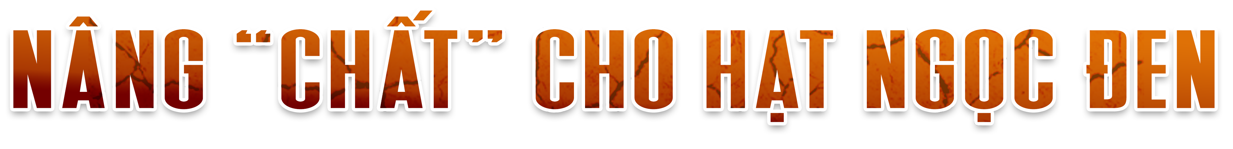 Khô hạn khốc liệt ở Tây Nguyên: Cứu 'cây tỷ đô' thế nào? - 4