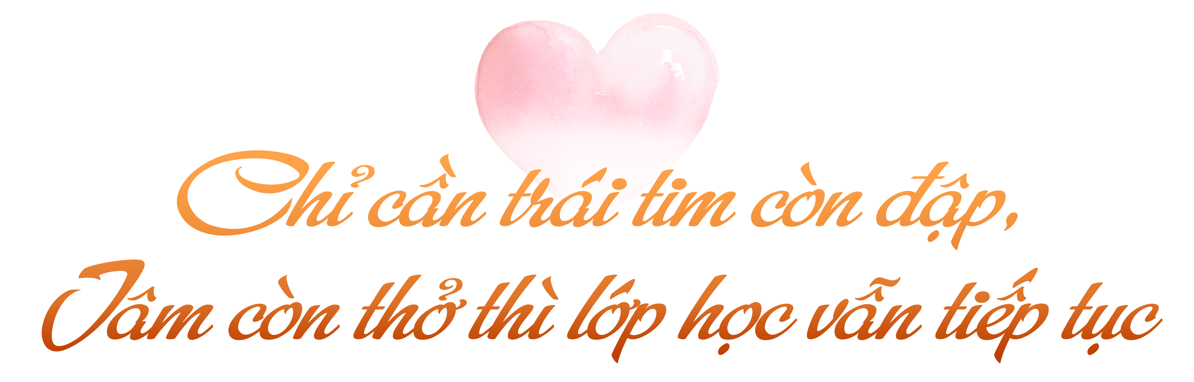 Cô giáo xương thủy tinh 20 năm ngồi xe lăn dạy học miễn phí cho trẻ em - 4