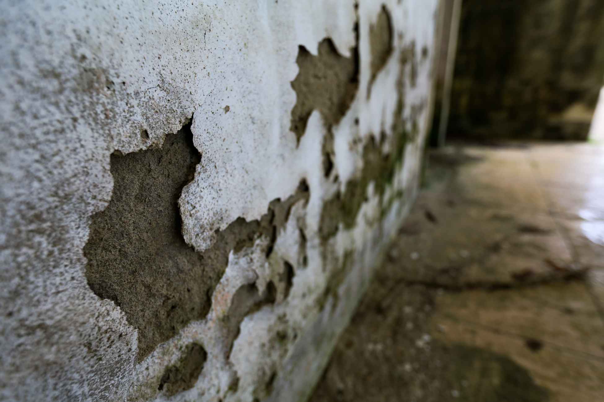 Trường trung cấp gần 20 tỷ đồng nằm ‘phơi sương’ ở Hà Tĩnh - 13