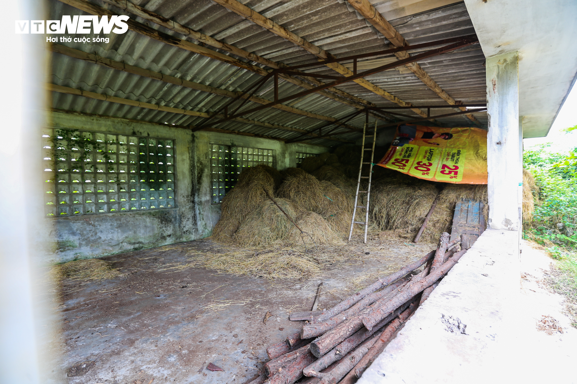 Trường trung cấp gần 20 tỷ đồng nằm ‘phơi sương’ ở Hà Tĩnh - 12