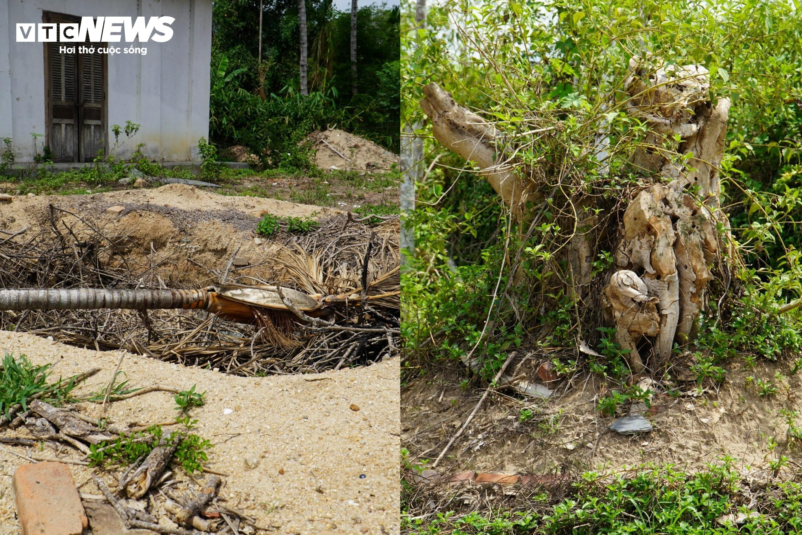 Cận cảnh ngôi nhà 100 tuổi được Khánh Hòa kêu gọi tu bổ - 12