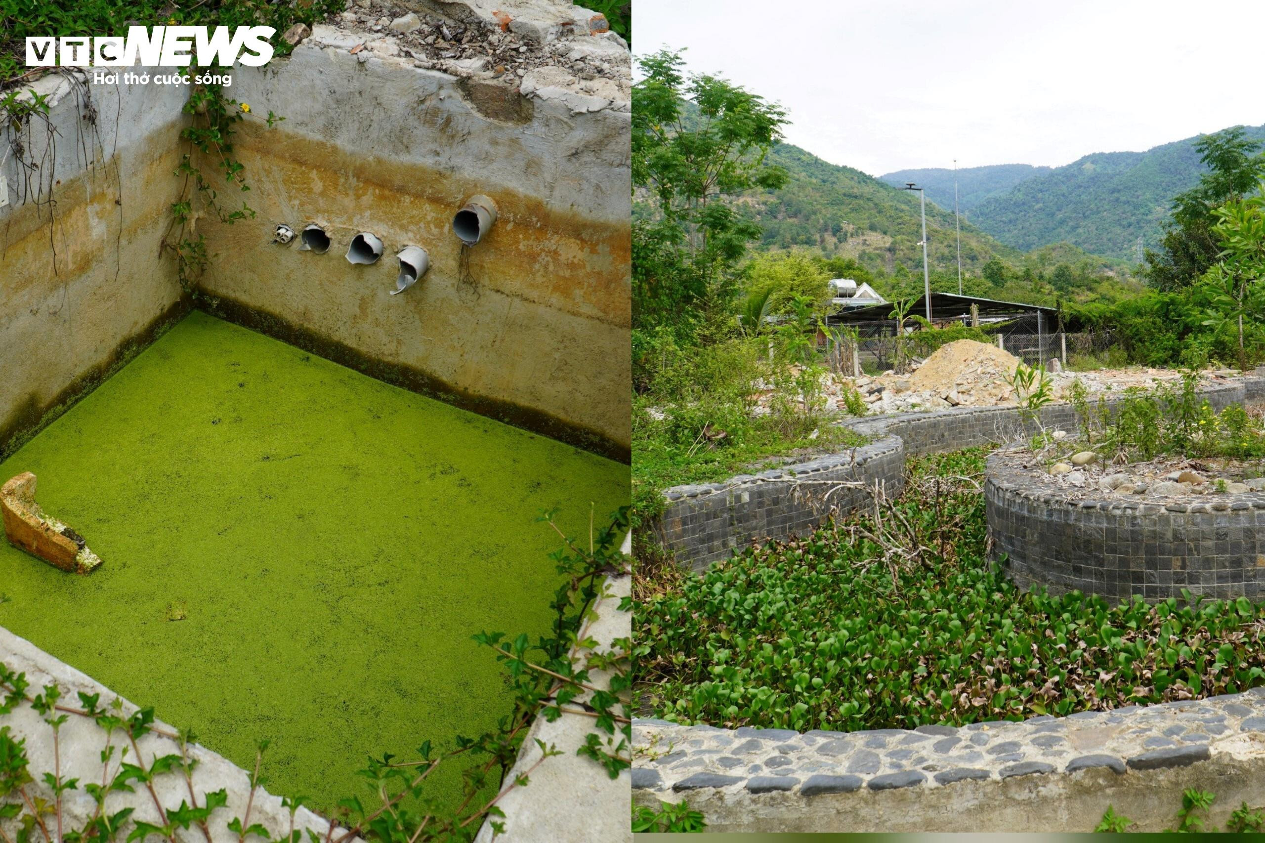 Cận cảnh ngôi nhà 100 tuổi được Khánh Hòa kêu gọi tu bổ - 3