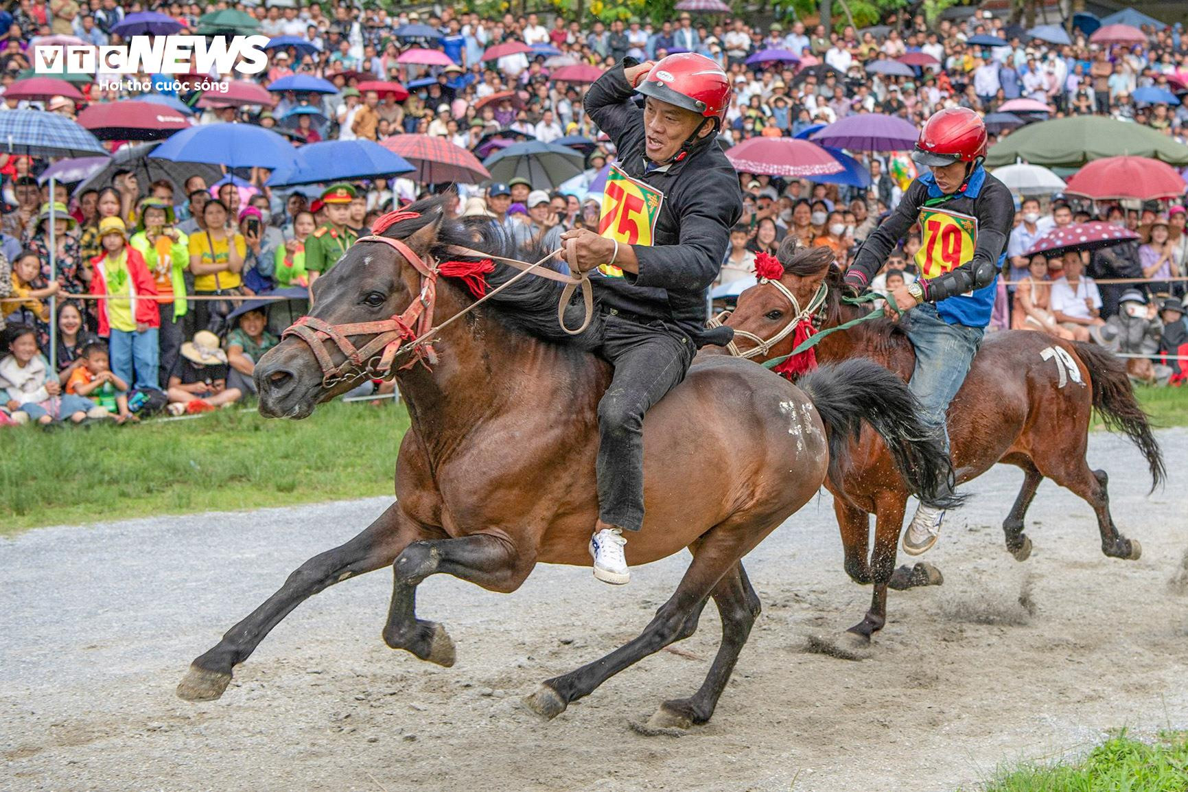 Trai bản đội mũ bảo hiểm, cưỡi chiến mã tranh tài trên cao nguyên trắng - 10