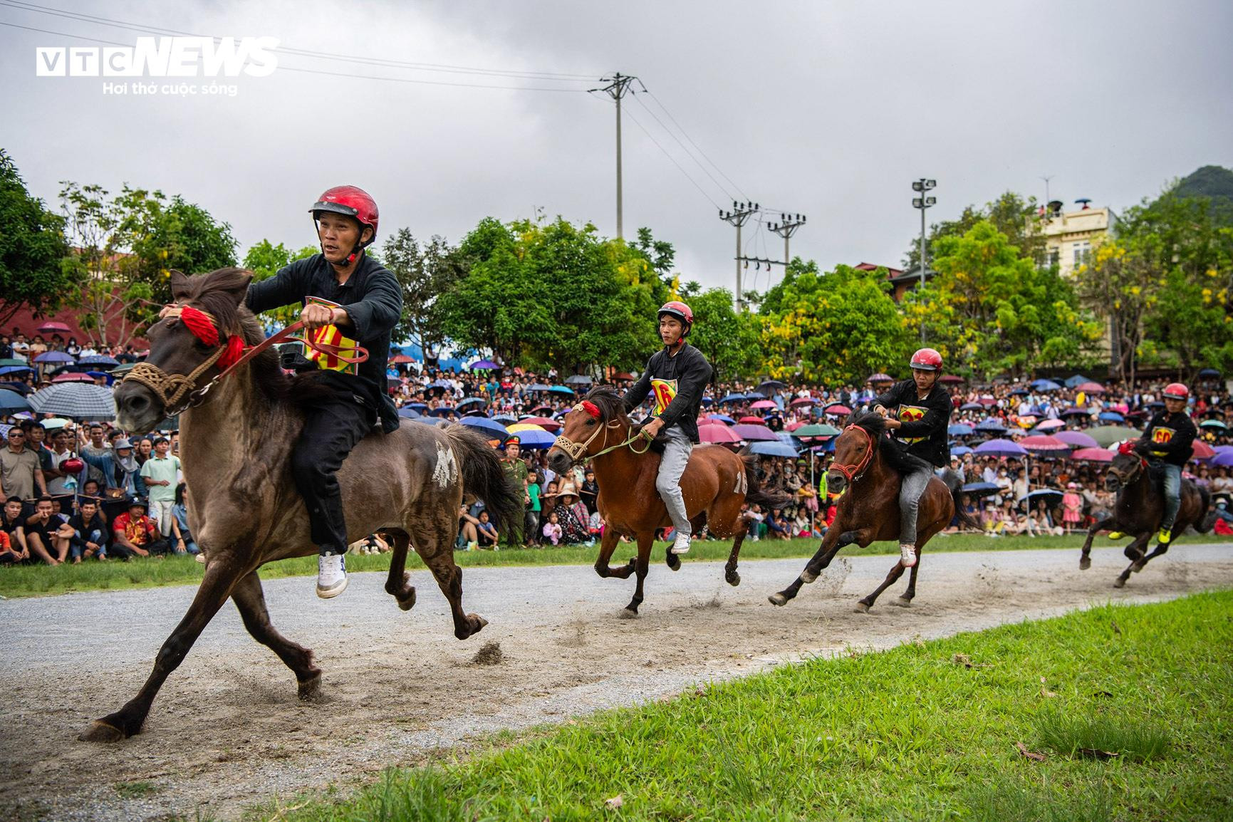 Trai bản đội mũ bảo hiểm, cưỡi chiến mã tranh tài trên cao nguyên trắng - 8