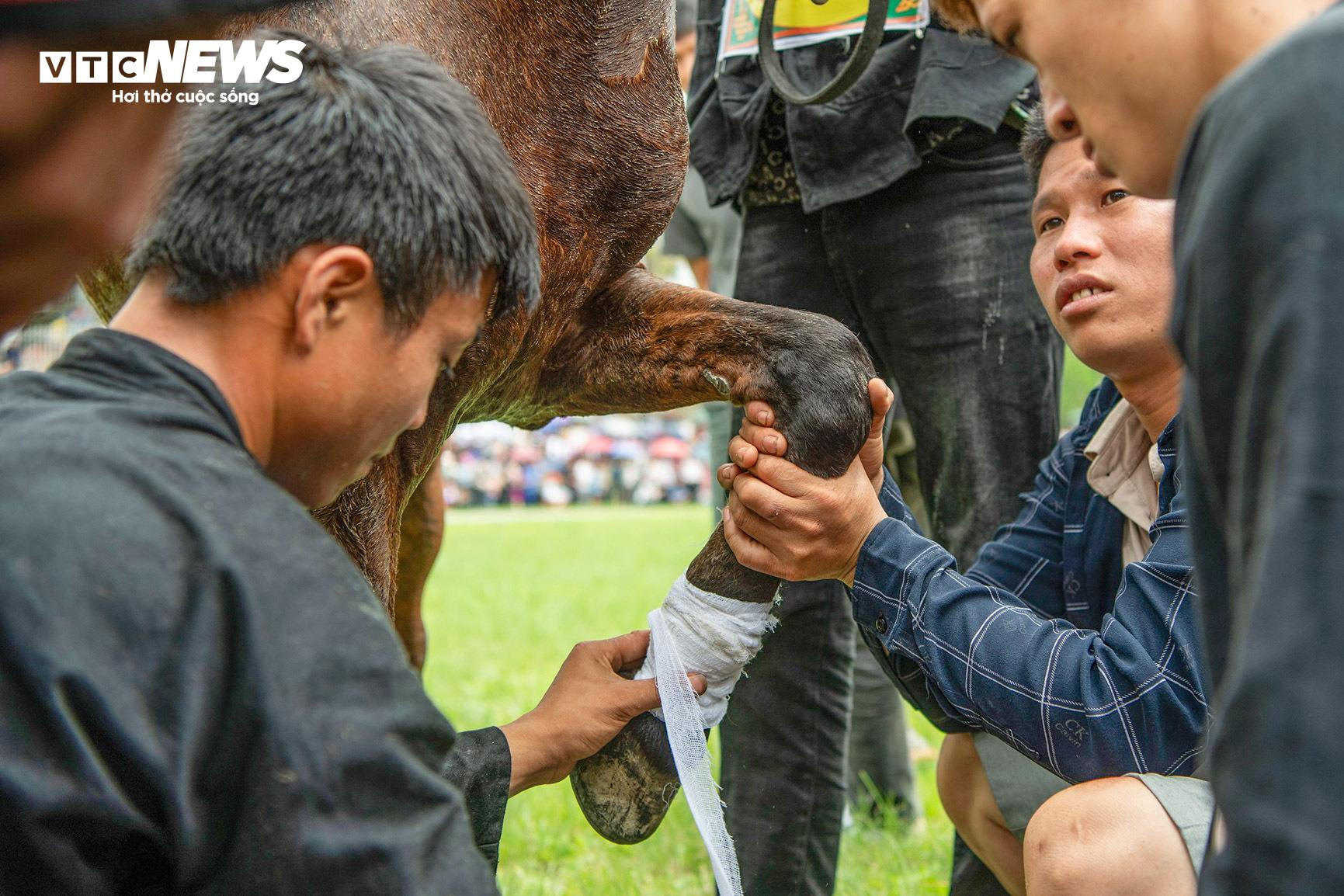Trai bản đội mũ bảo hiểm, cưỡi chiến mã tranh tài trên cao nguyên trắng - 7