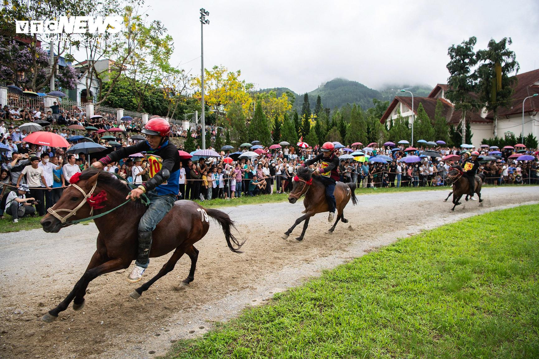Trai bản đội mũ bảo hiểm, cưỡi chiến mã tranh tài trên cao nguyên trắng - 13