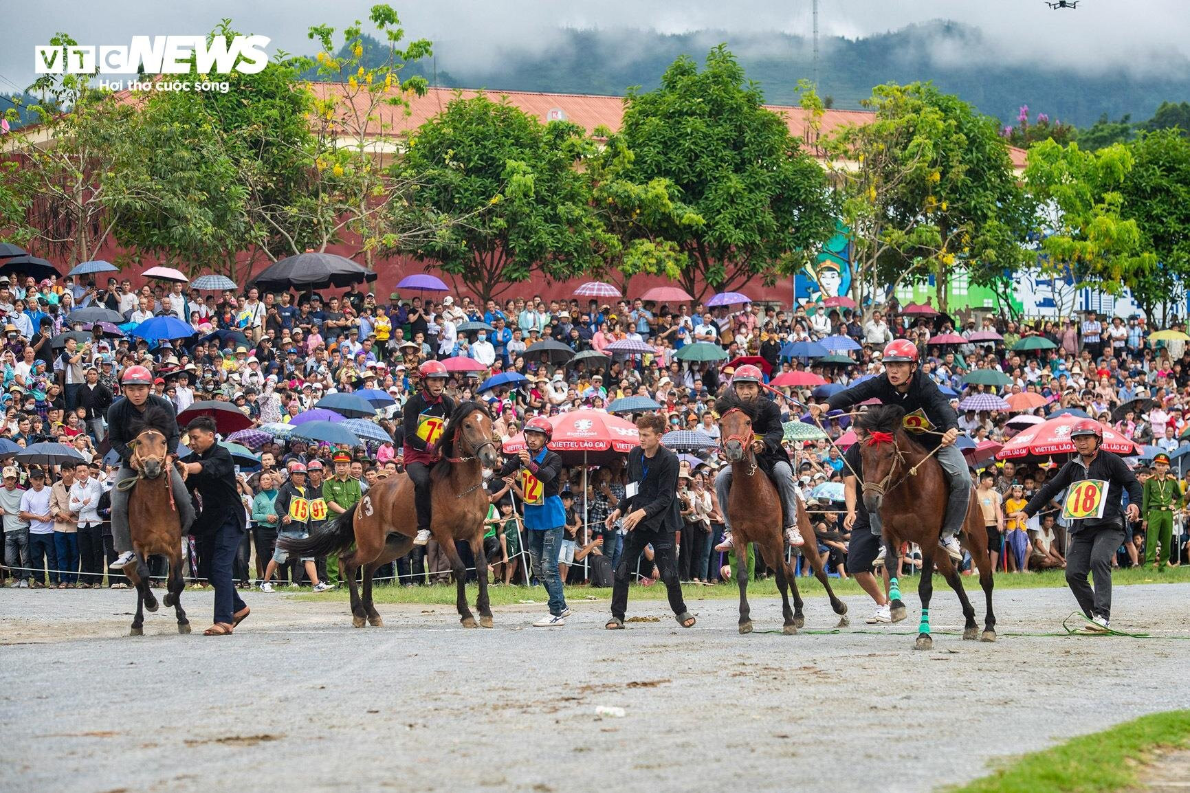 Trai bản đội mũ bảo hiểm, cưỡi chiến mã tranh tài trên cao nguyên trắng - 5