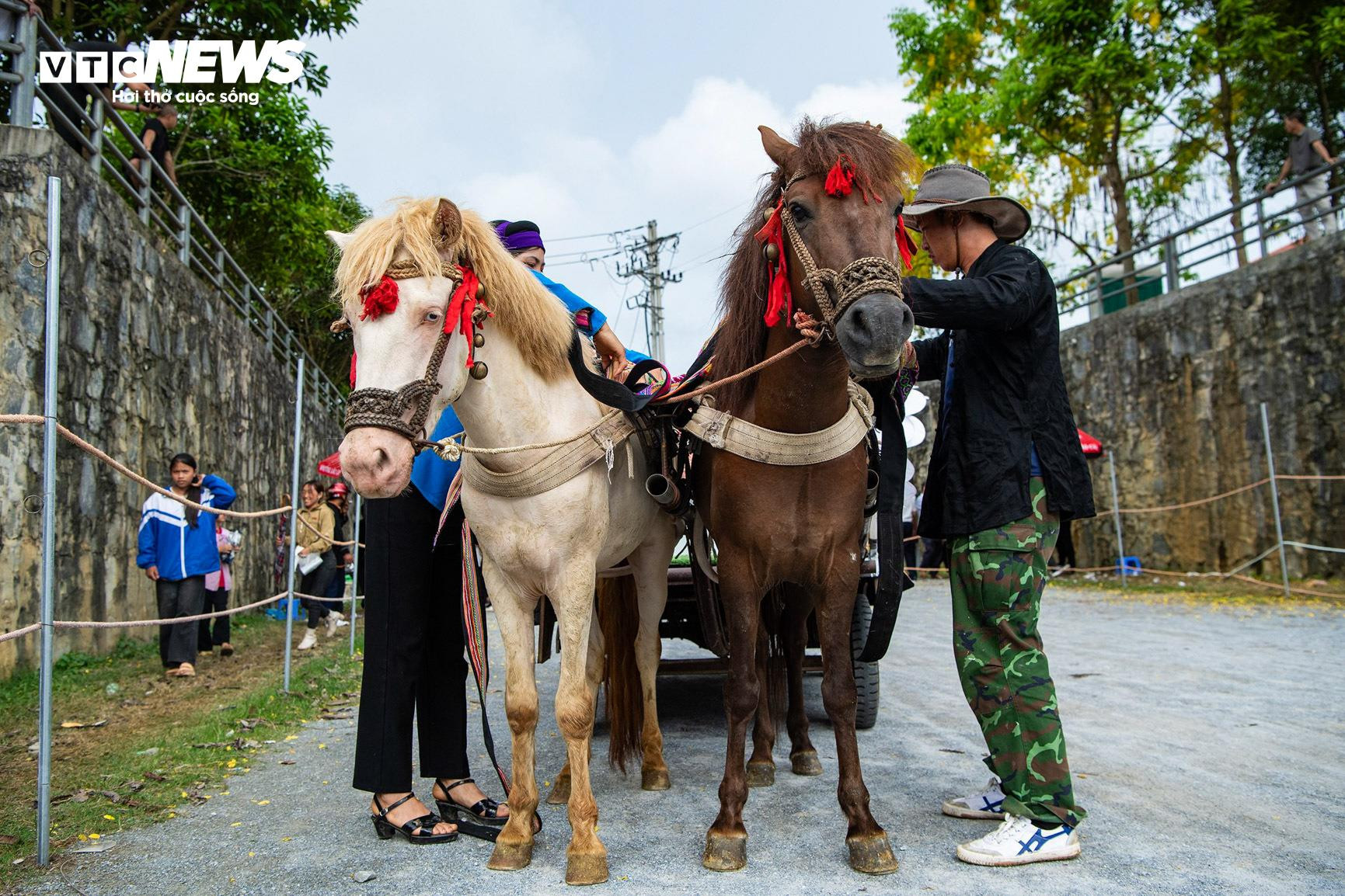 Trai bản đội mũ bảo hiểm, cưỡi chiến mã tranh tài trên cao nguyên trắng - 6