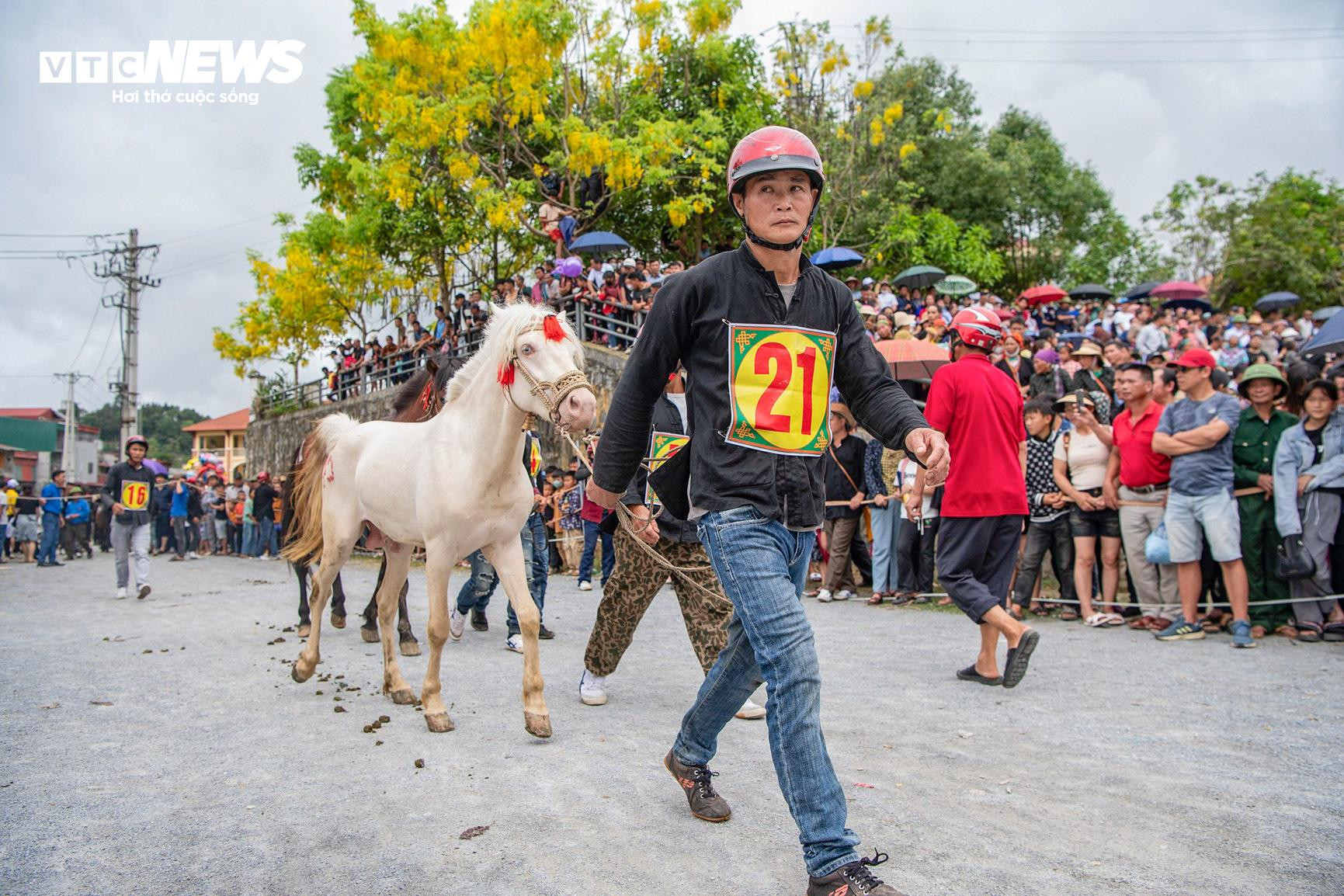 Trai bản đội mũ bảo hiểm, cưỡi chiến mã tranh tài trên cao nguyên trắng - 2