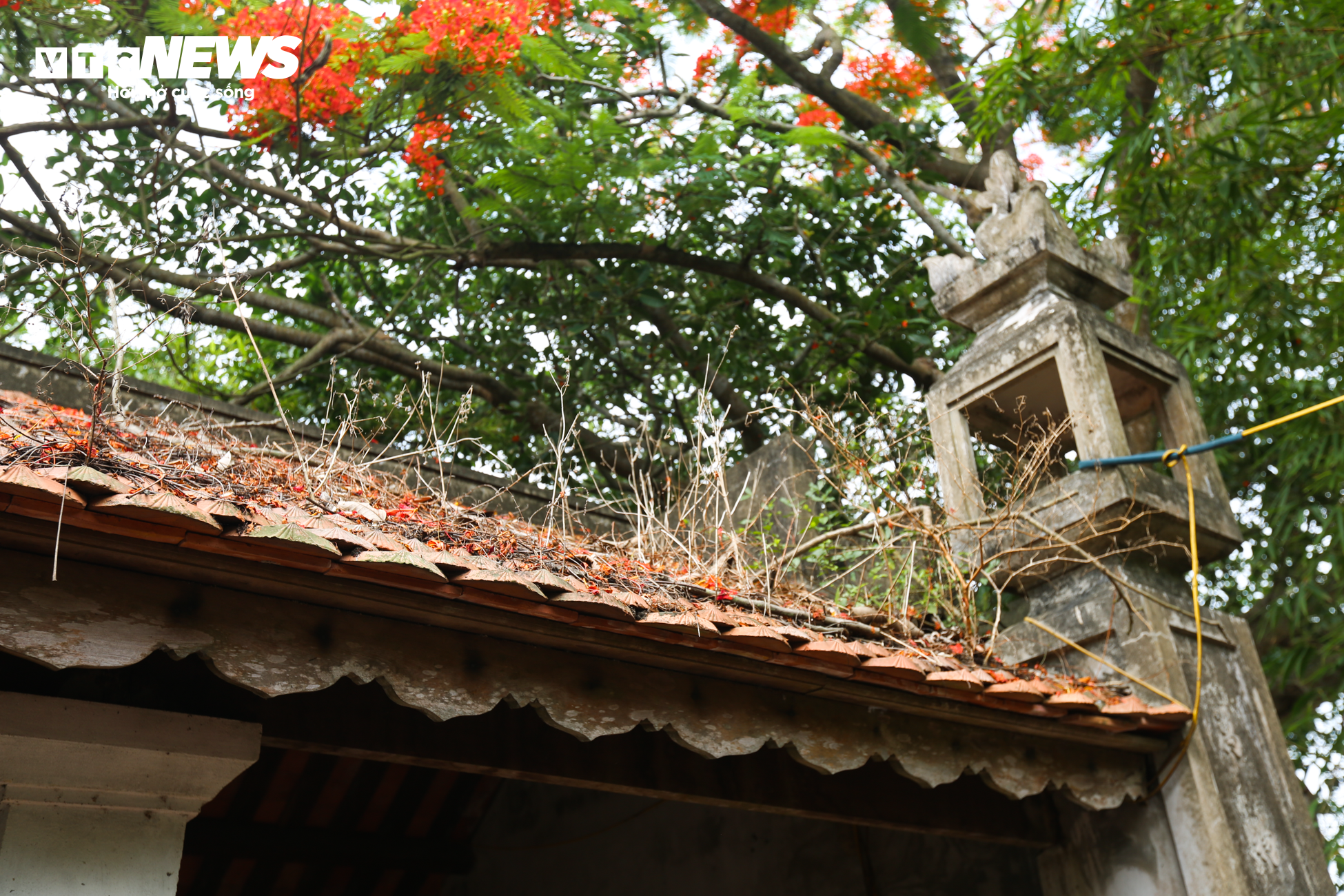 Ngôi đình cổ bậc nhất xứ Nghệ xuống cấp, nguy cơ đổ sập - 15