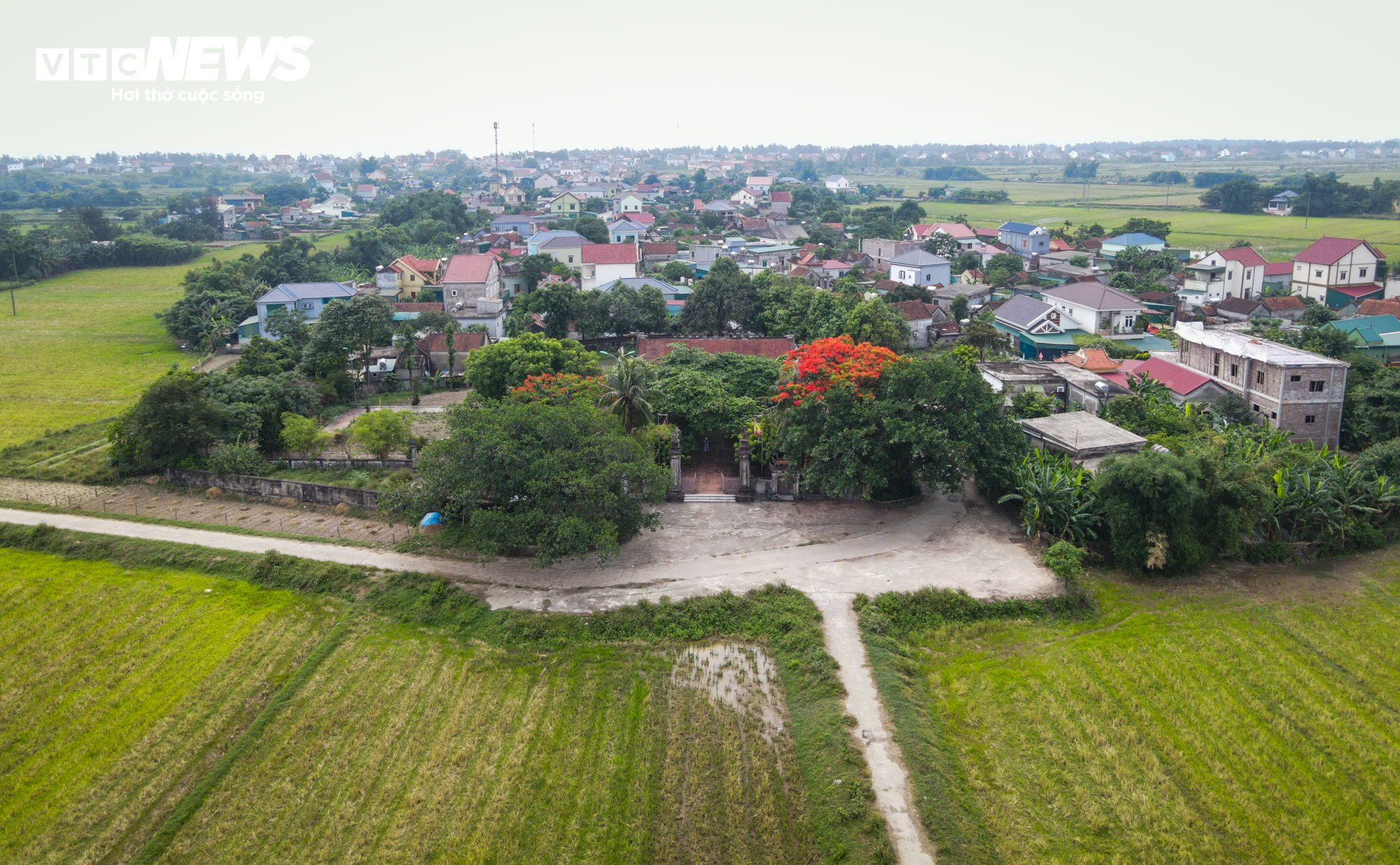 Ngôi đình cổ bậc nhất xứ Nghệ xuống cấp, nguy cơ đổ sập - 2