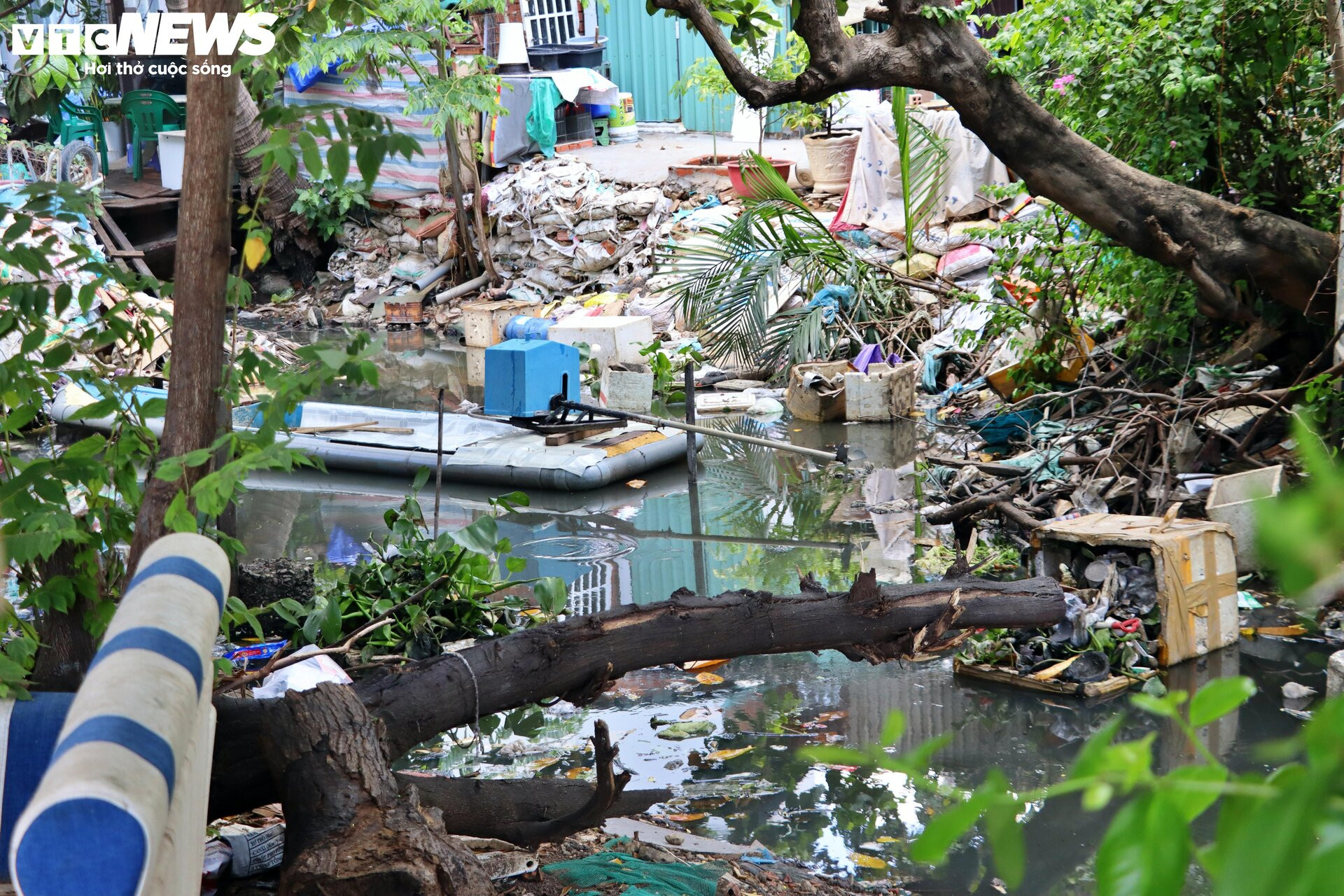 Nghìn hộ dân sống tạm bợ ven rạch dưới chân cao ốc ở TP.HCM - 11