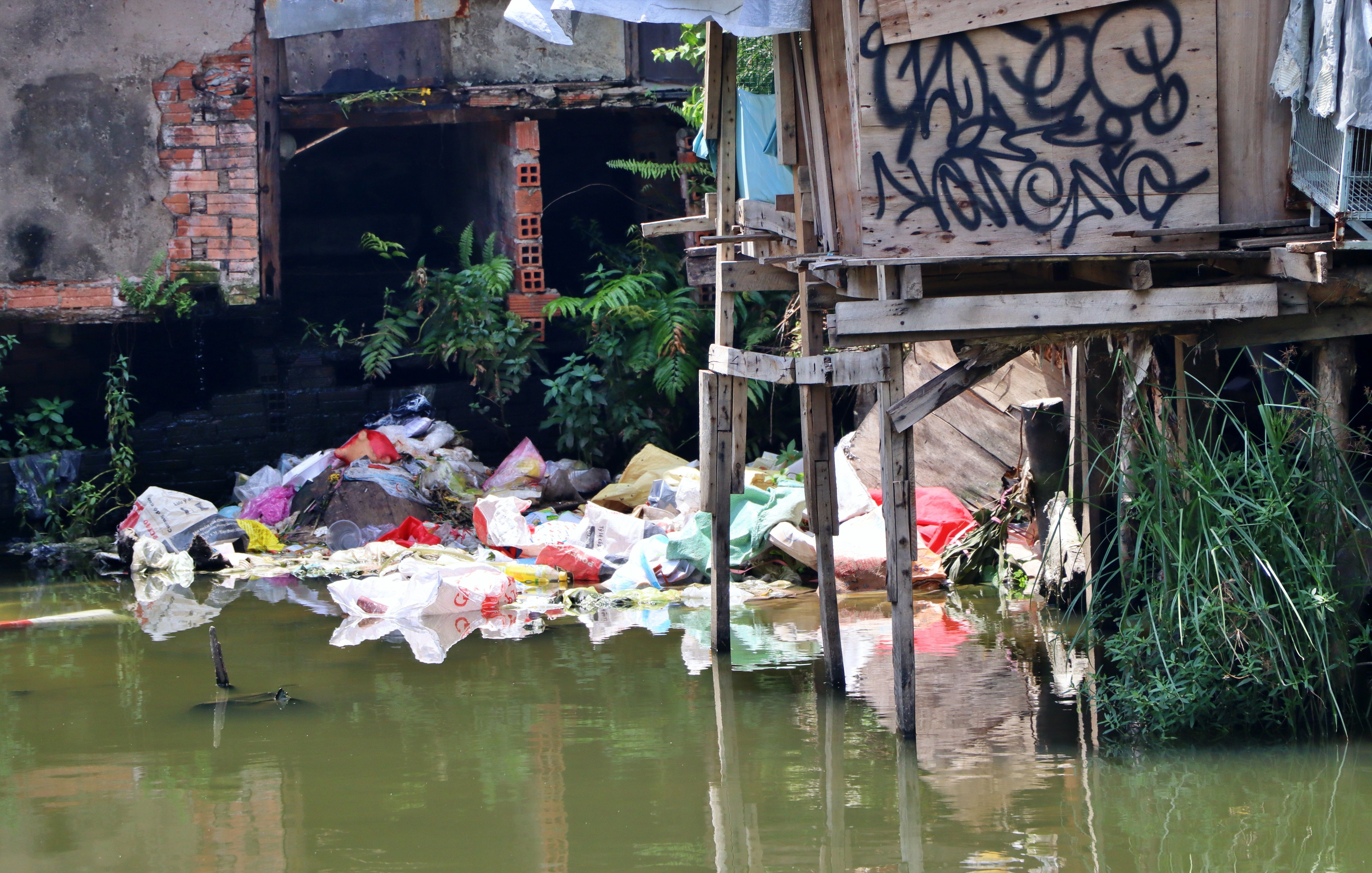 Nghìn hộ dân sống tạm bợ ven rạch dưới chân cao ốc ở TP.HCM - 9