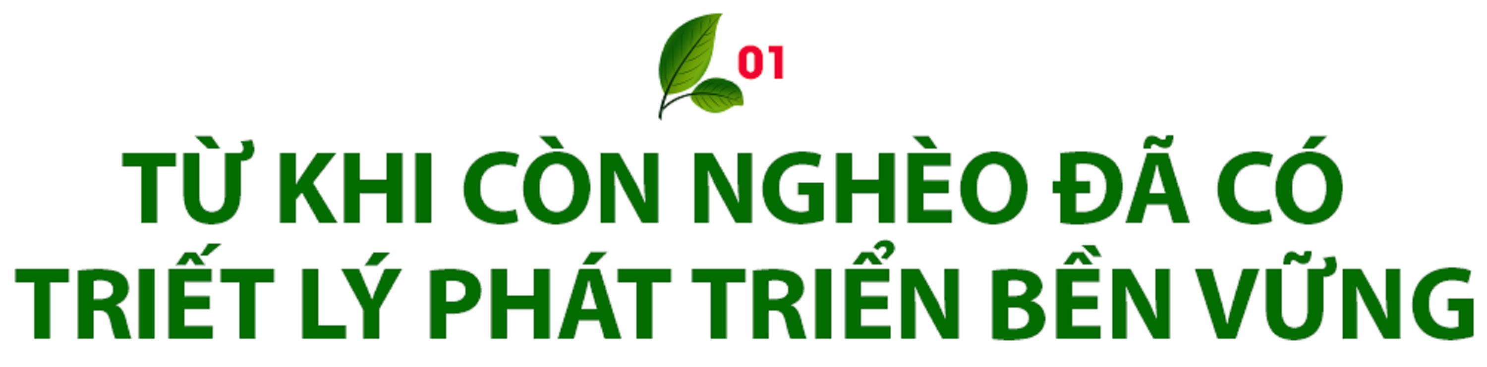Phát triển bền vững theo cách của Viettel - 5