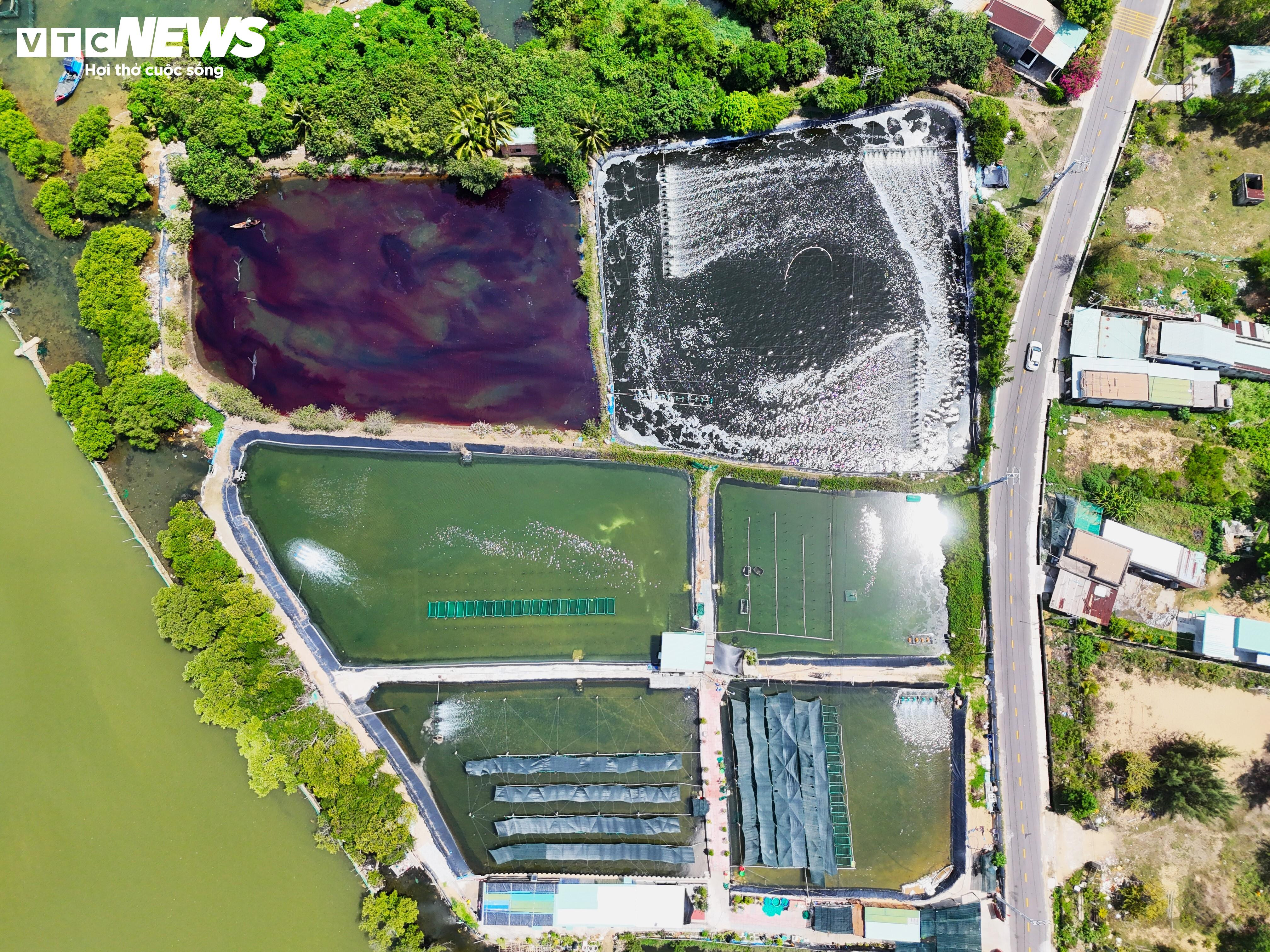 Bình Định tìm nhà đầu tư mới cho dự án gần 800 tỷ - 8