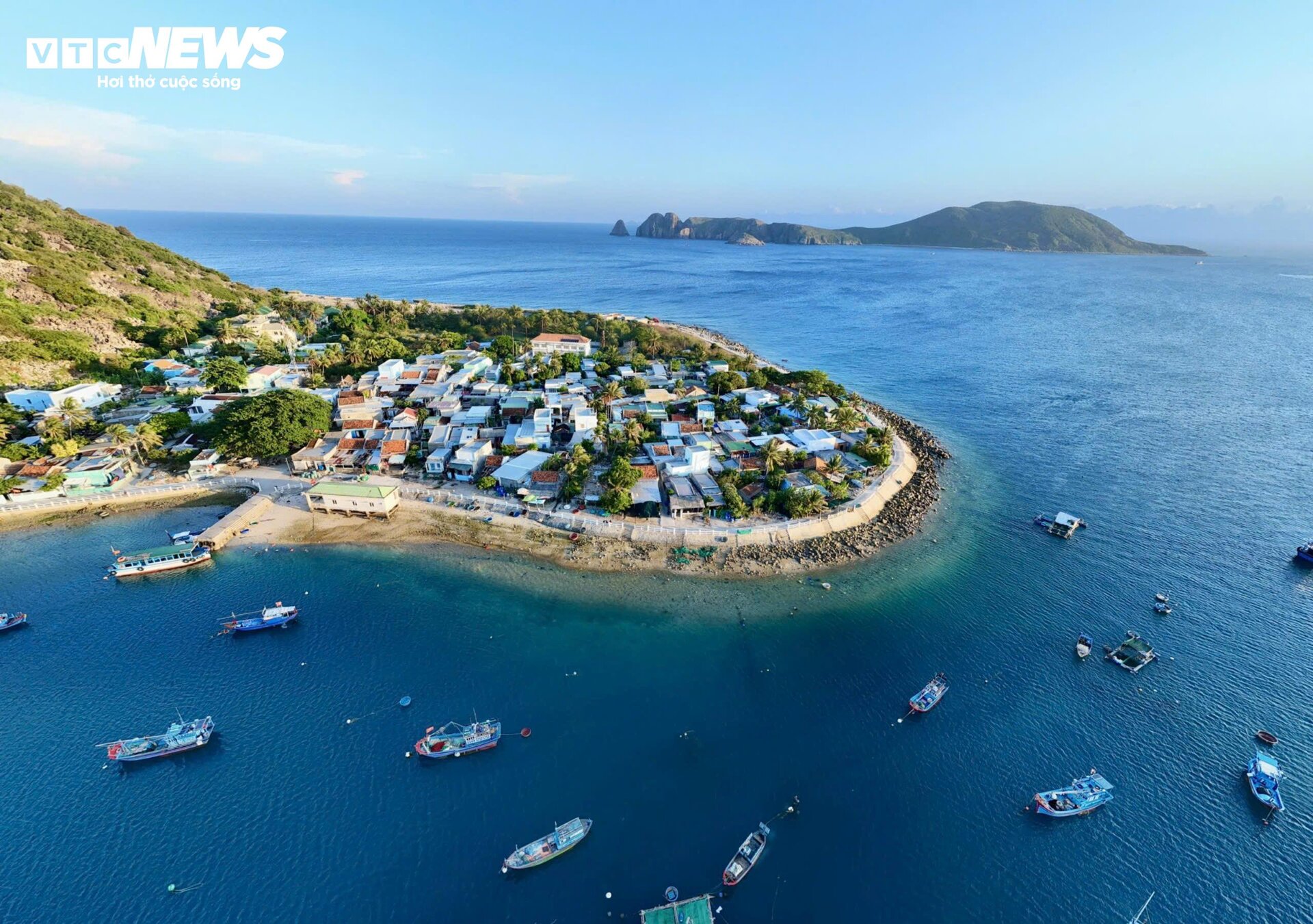 Cận cảnh cây di sản Việt Nam 150 tuổi trên hòn đảo xa nhất ở Nha Trang - 9