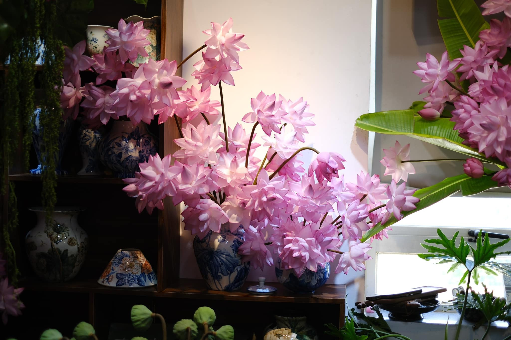 Chị đẹp Hà Thành biến nhà thành rừng hoa nhiệt đới với 1.000 bông sen Nghi Lương - 10