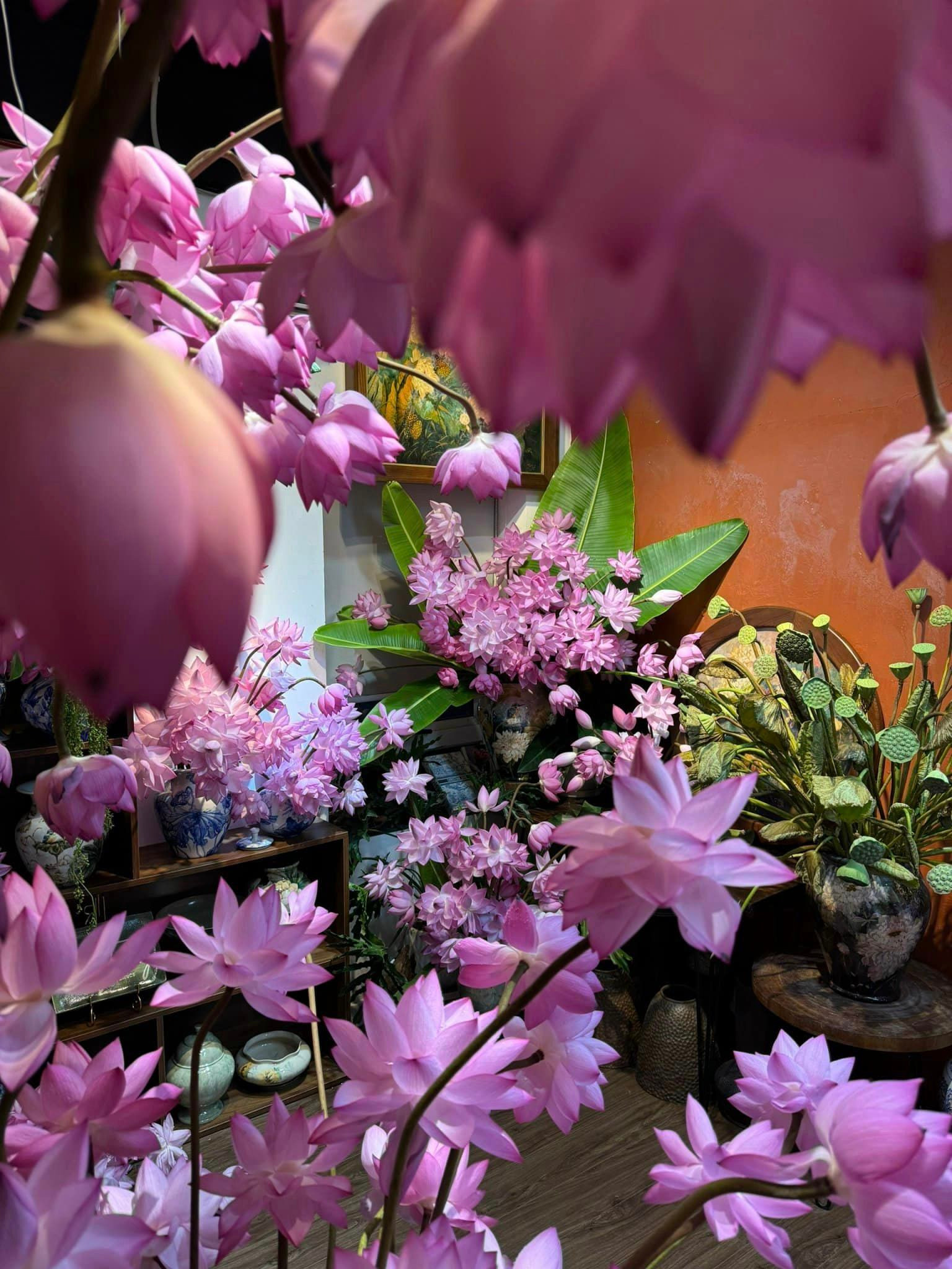 Chị đẹp Hà Thành biến nhà thành rừng hoa nhiệt đới với 1.000 bông sen Nghi Lương - 14