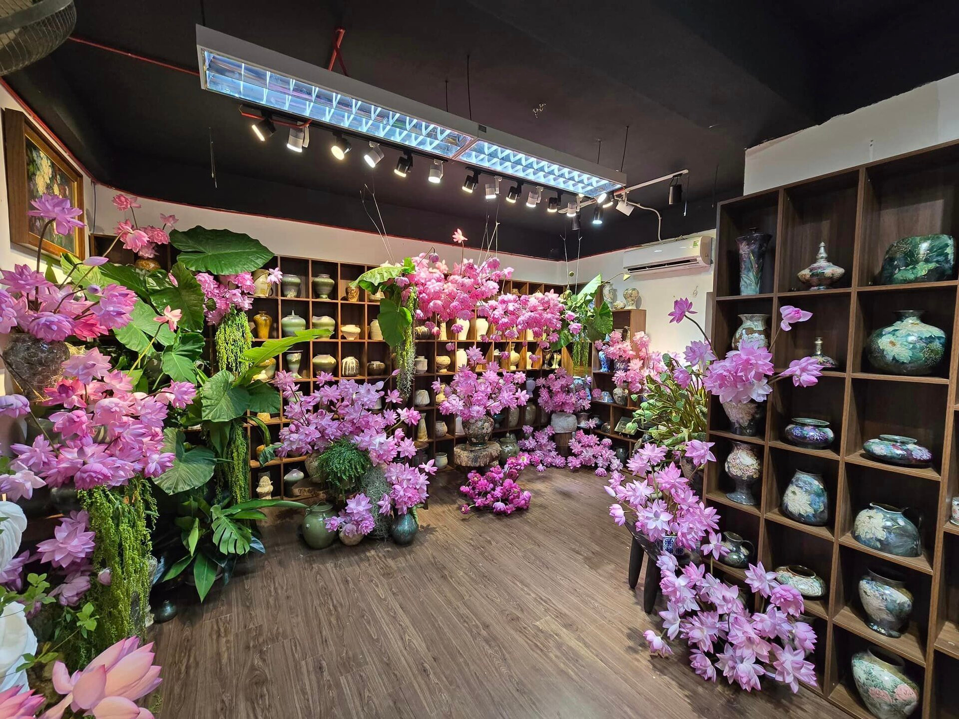 Chị đẹp Hà Thành biến nhà thành rừng hoa nhiệt đới với 1.000 bông sen Nghi Lương - 4