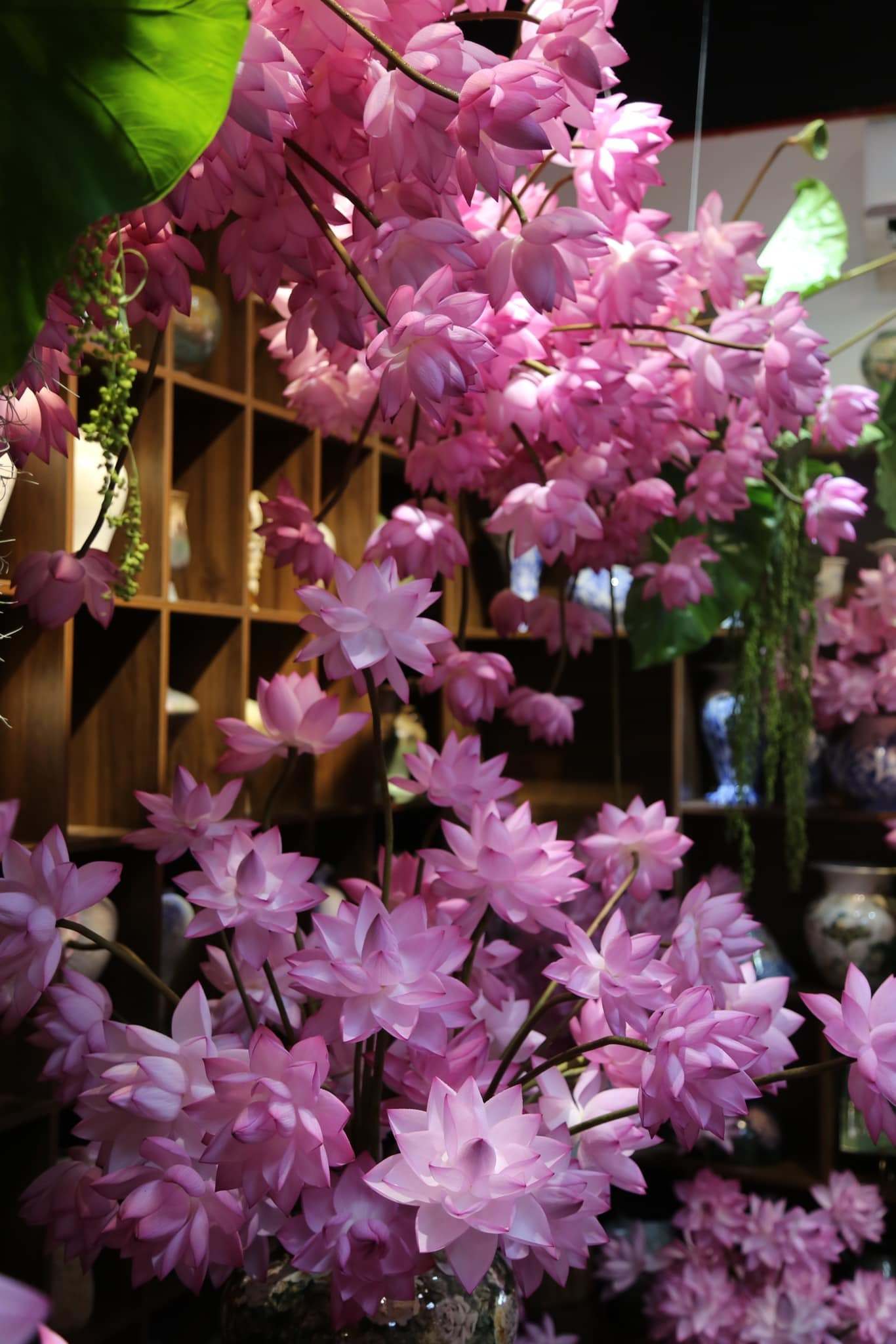 Chị đẹp Hà Thành biến nhà thành rừng hoa nhiệt đới với 1.000 bông sen Nghi Lương - 12