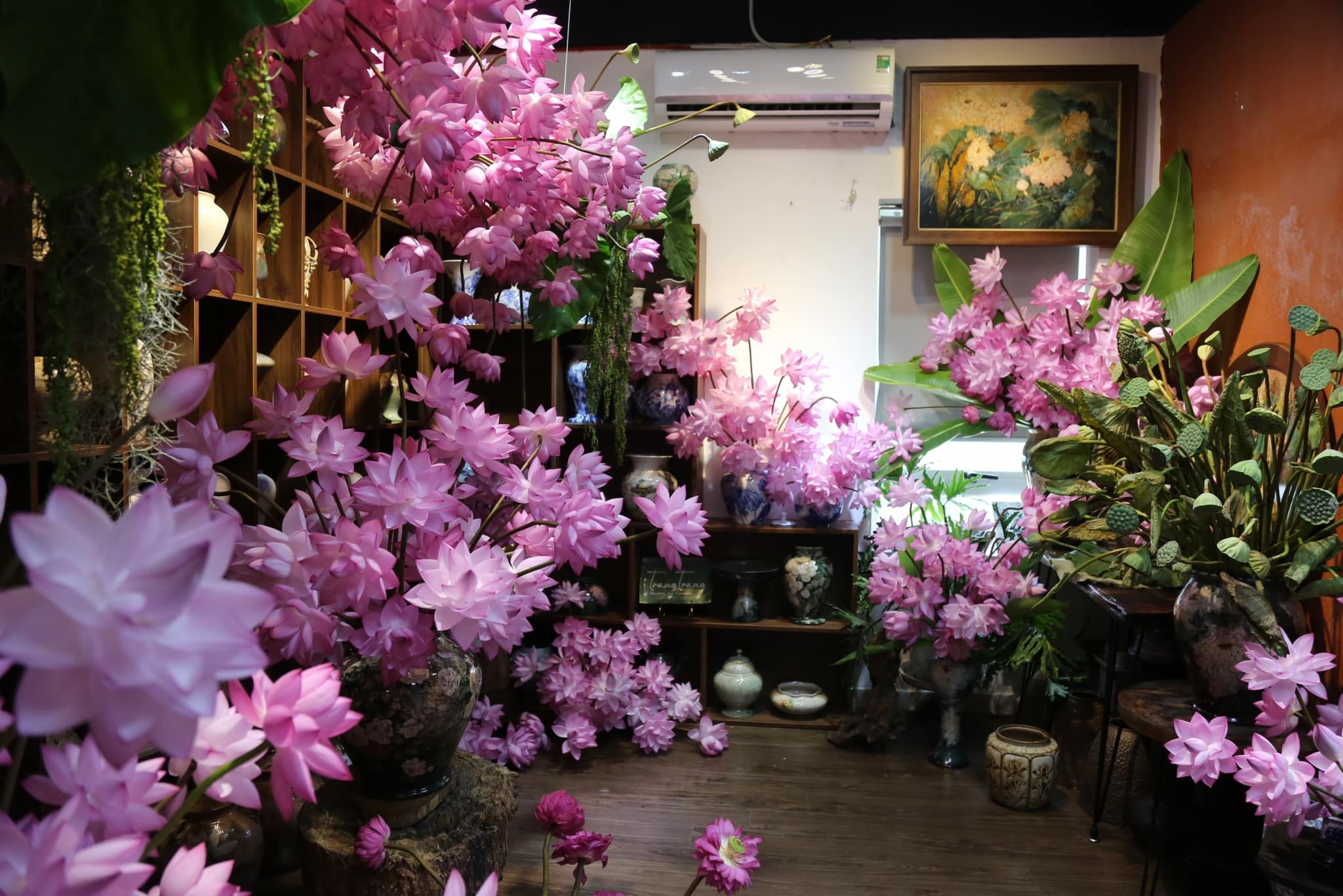 Chị đẹp Hà Thành biến nhà thành rừng hoa nhiệt đới với 1.000 bông sen Nghi Lương - 8