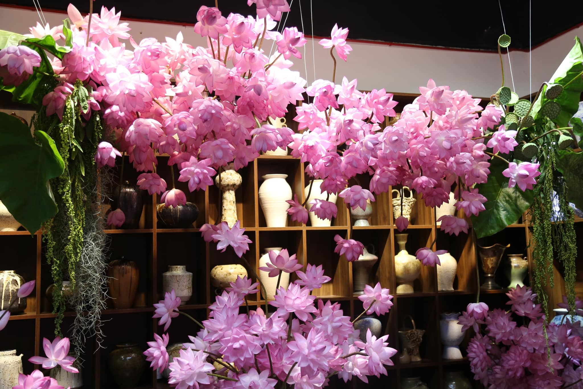 Chị đẹp Hà Thành biến nhà thành rừng hoa nhiệt đới với 1.000 bông sen Nghi Lương - 6