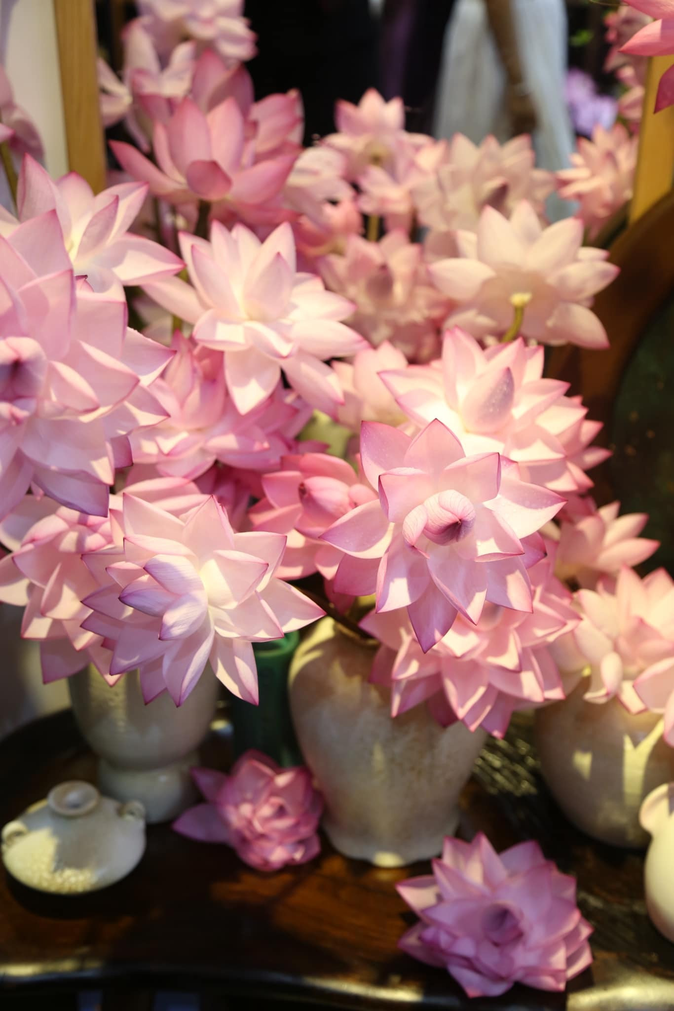 Chị đẹp Hà Thành biến nhà thành rừng hoa nhiệt đới với 1.000 bông sen Nghi Lương - 13