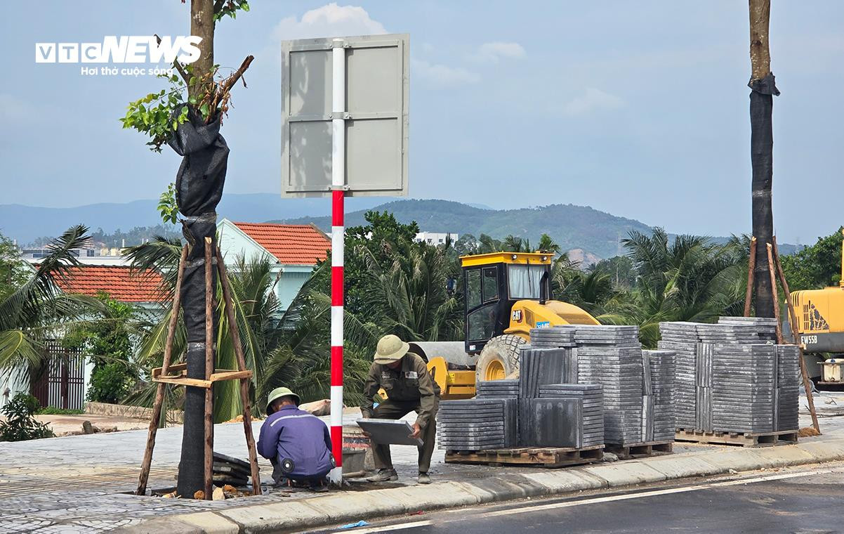 Hình hài cầu Bến Rừng nối Hải Phòng - Quảng Ninh trước ngày thông xe - 11
