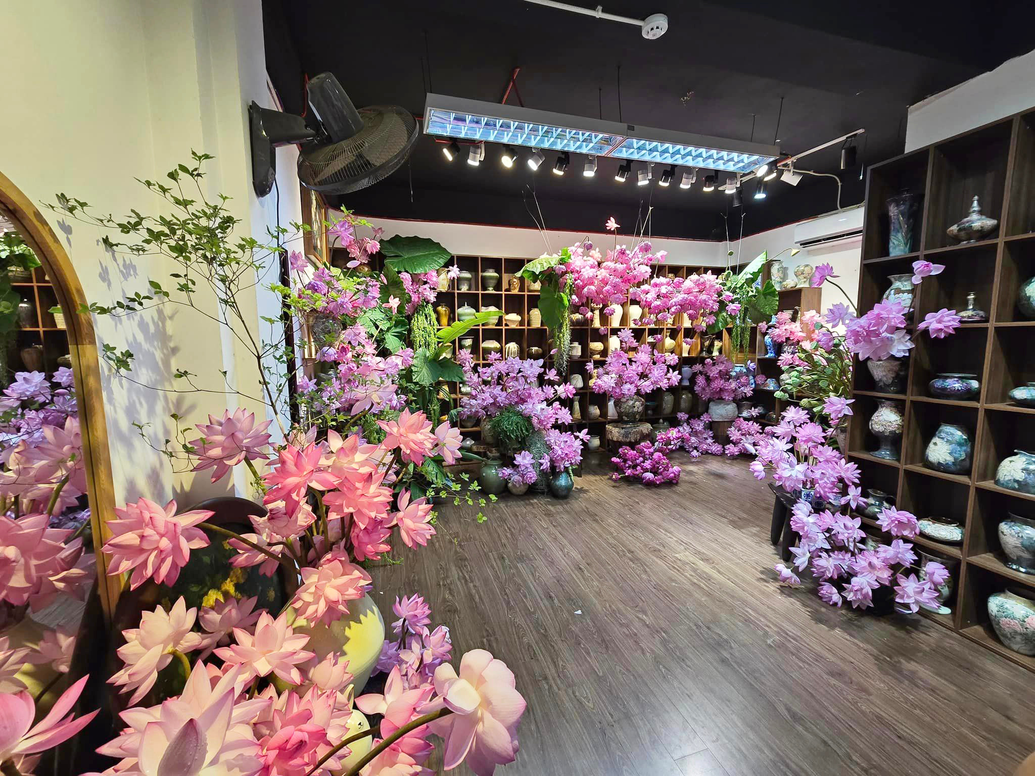 Chị đẹp Hà Thành biến nhà thành rừng hoa nhiệt đới với 1.000 bông sen Nghi Lương - 1