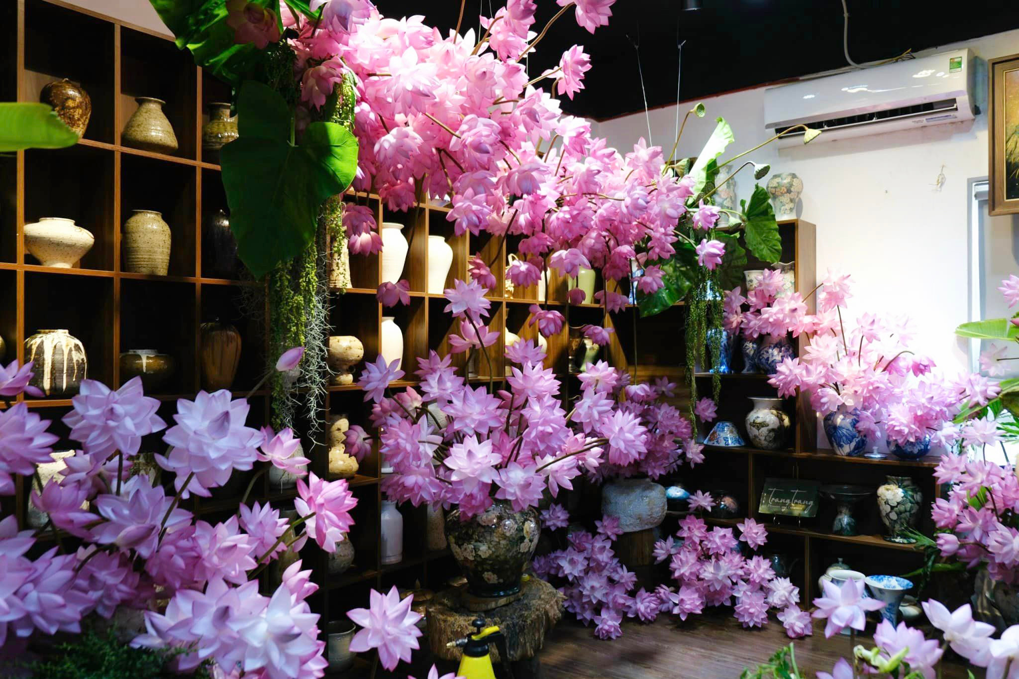 Chị đẹp Hà Thành biến nhà thành rừng hoa nhiệt đới với 1.000 bông sen Nghi Lương - 5