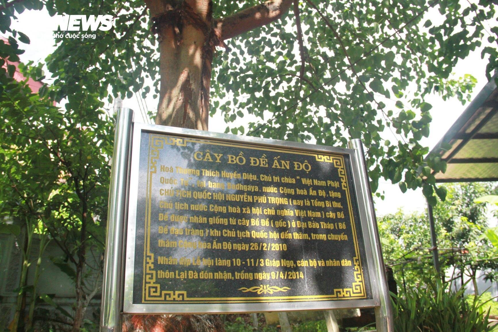 Người dân làng cổ Lại Đà rơi nước mắt kể về Tổng Bí thư Nguyễn Phú Trọng - 14