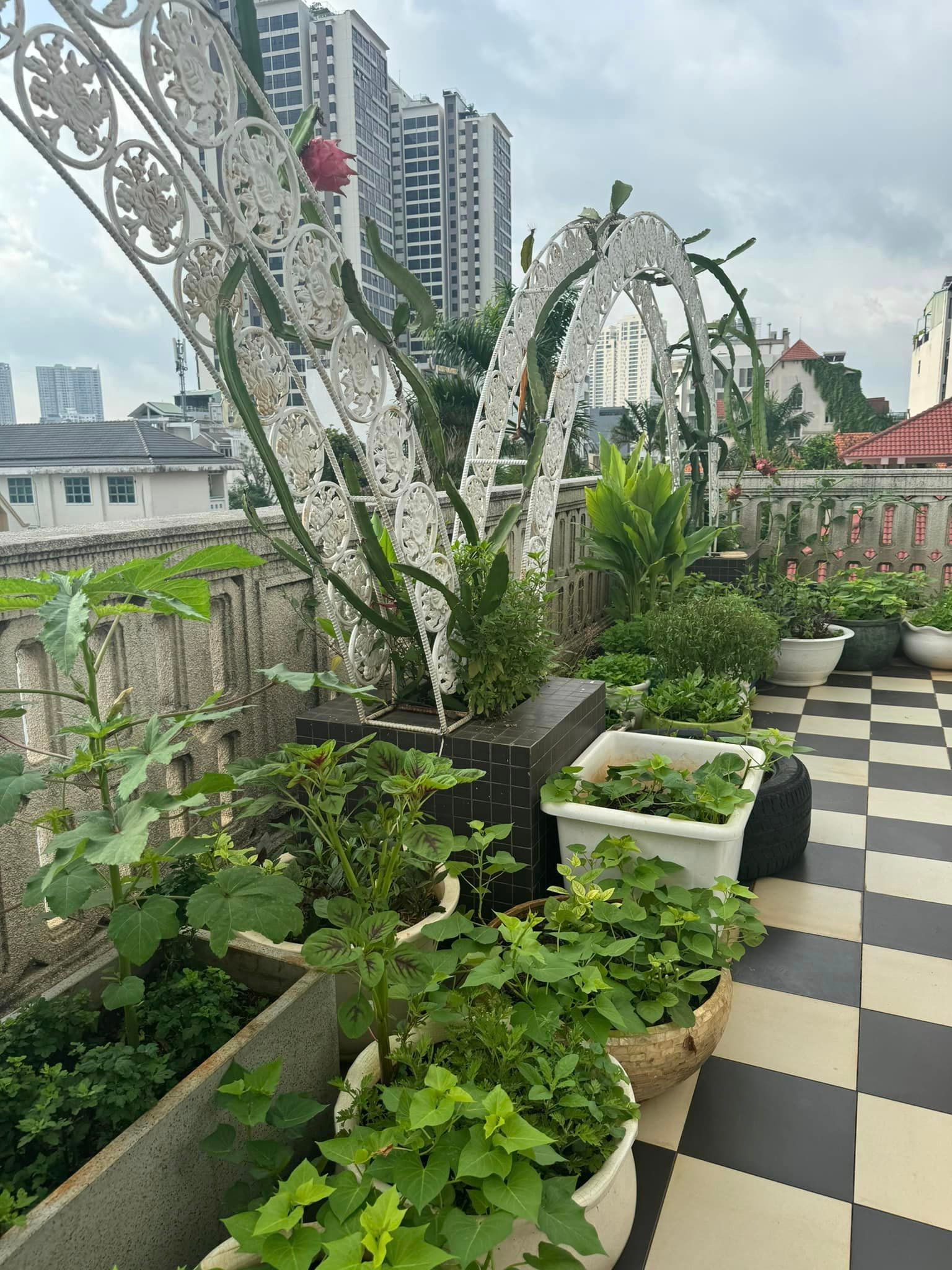 Sao Việt 27/7: Kasim Hoàng Vũ lộ diện khác lạ sau bạo bệnh - 11