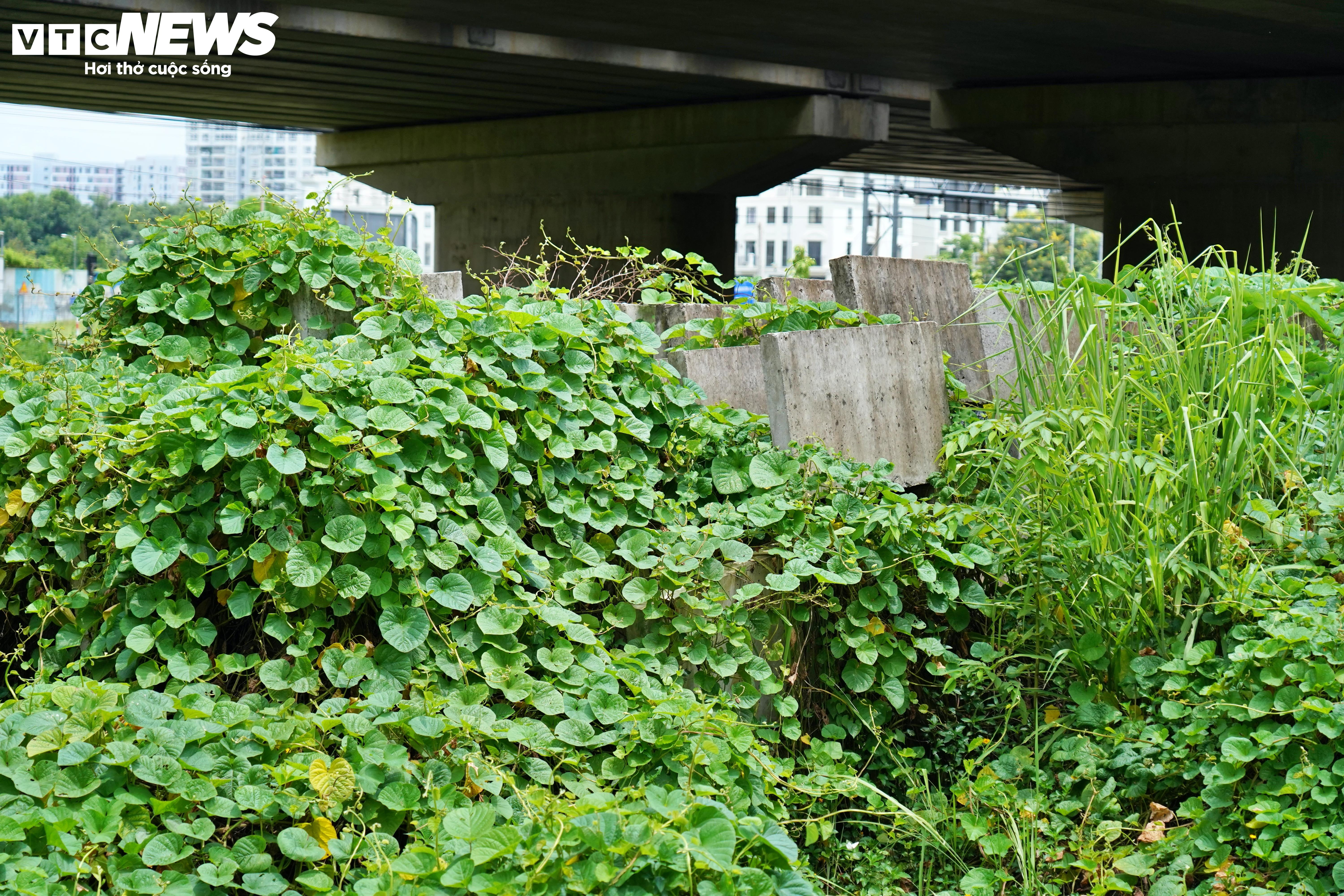 Tuyến đường ở TP.HCM nâng cấp gần 7 năm chưa xong, đội vốn 340 tỷ đồng - 8