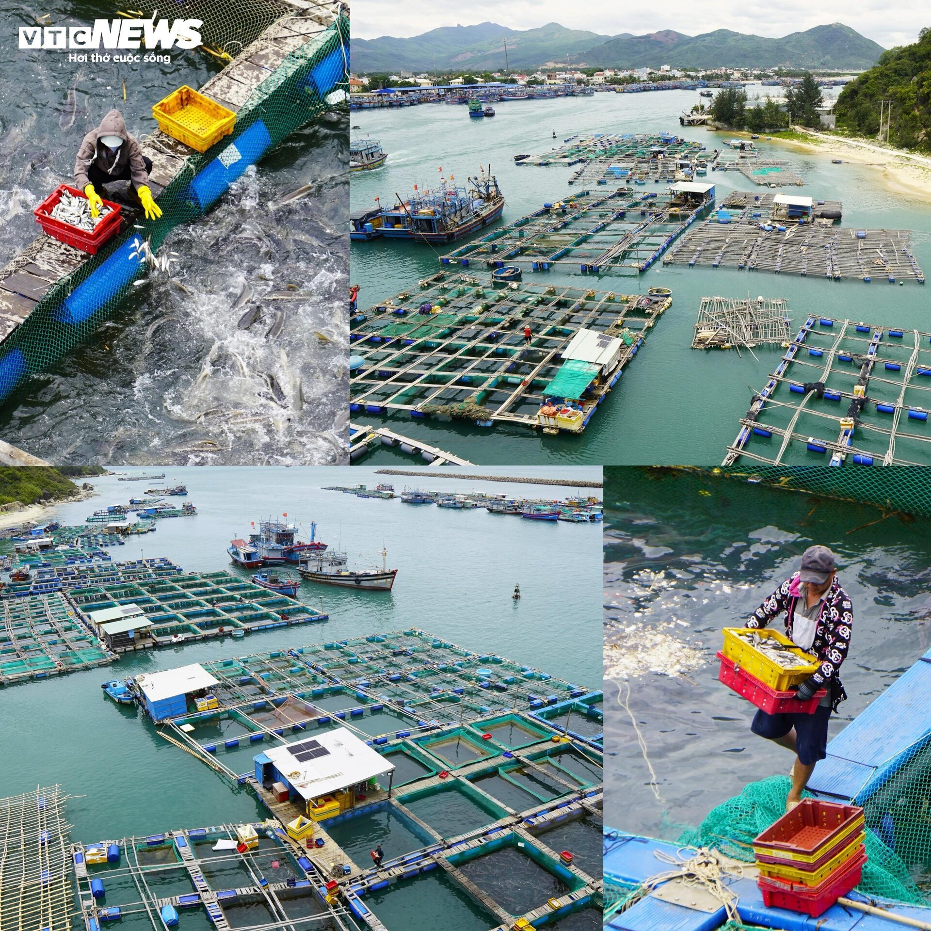 Bình Định làm gì với quỹ đất ven biển 2.200 ha? - 9