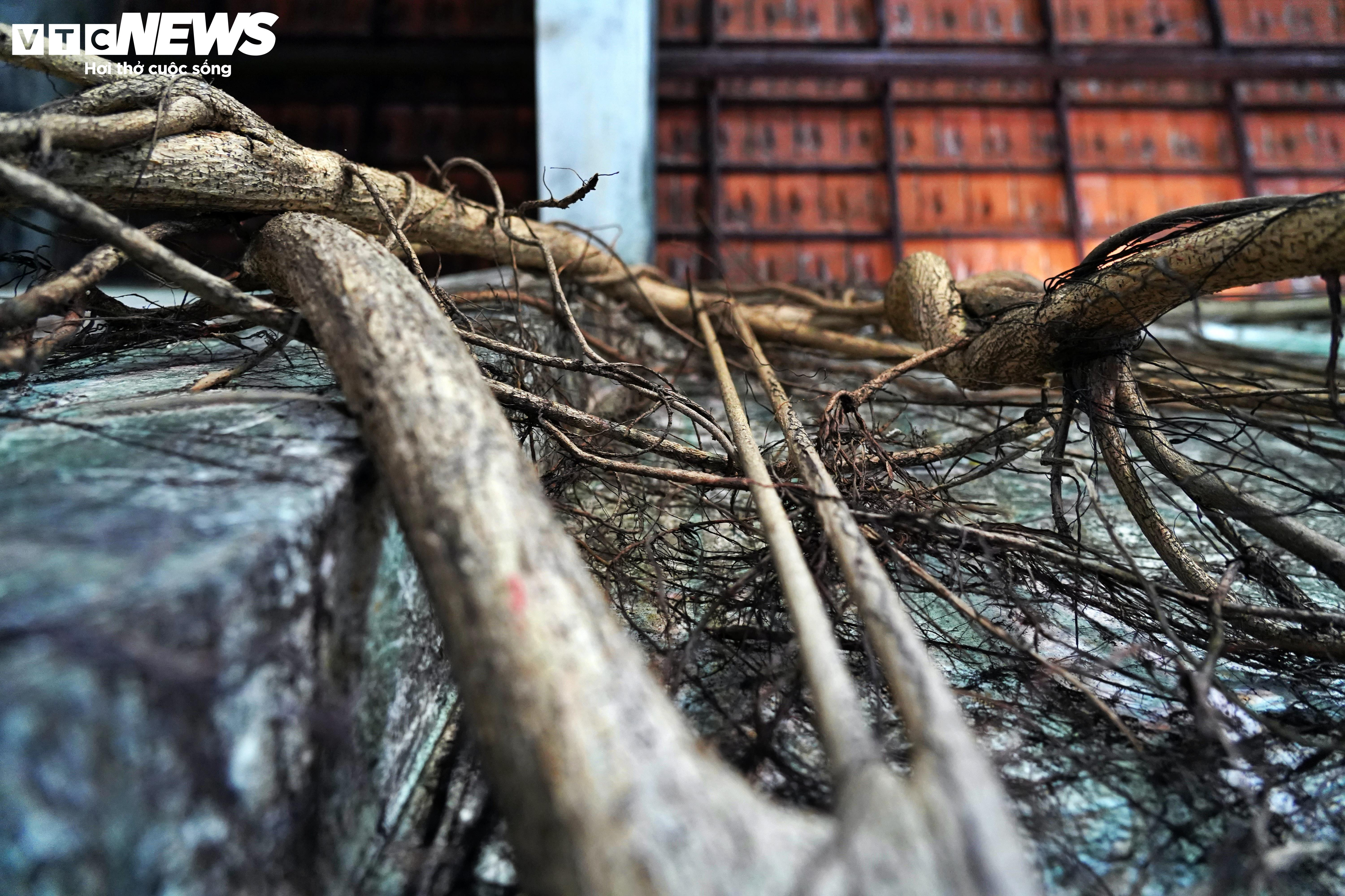 Cảnh u ám của trường học bị bỏ hoang gần 15 năm ở TP.HCM - 11