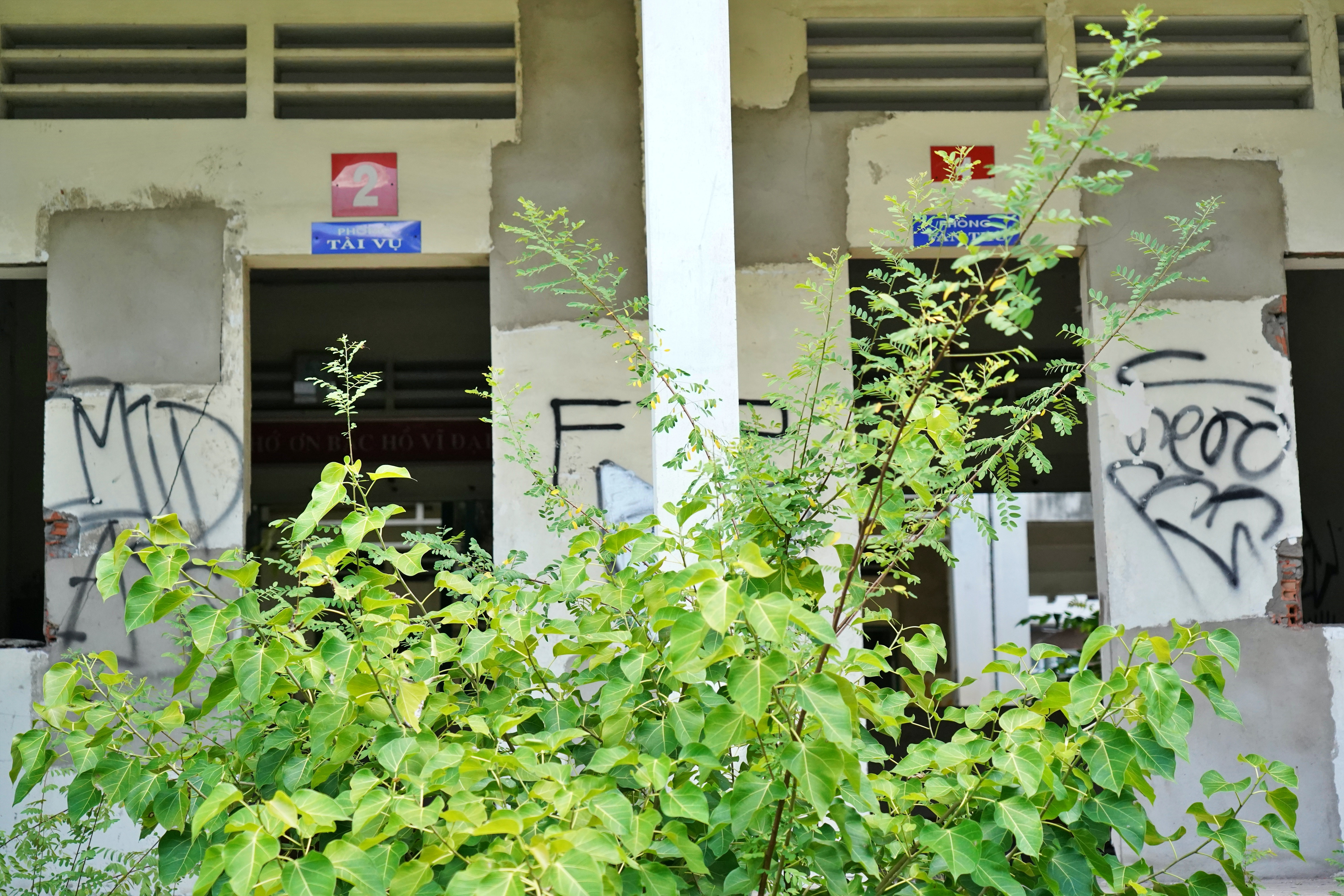 Cảnh u ám của trường học bị bỏ hoang gần 15 năm ở TP.HCM - 4