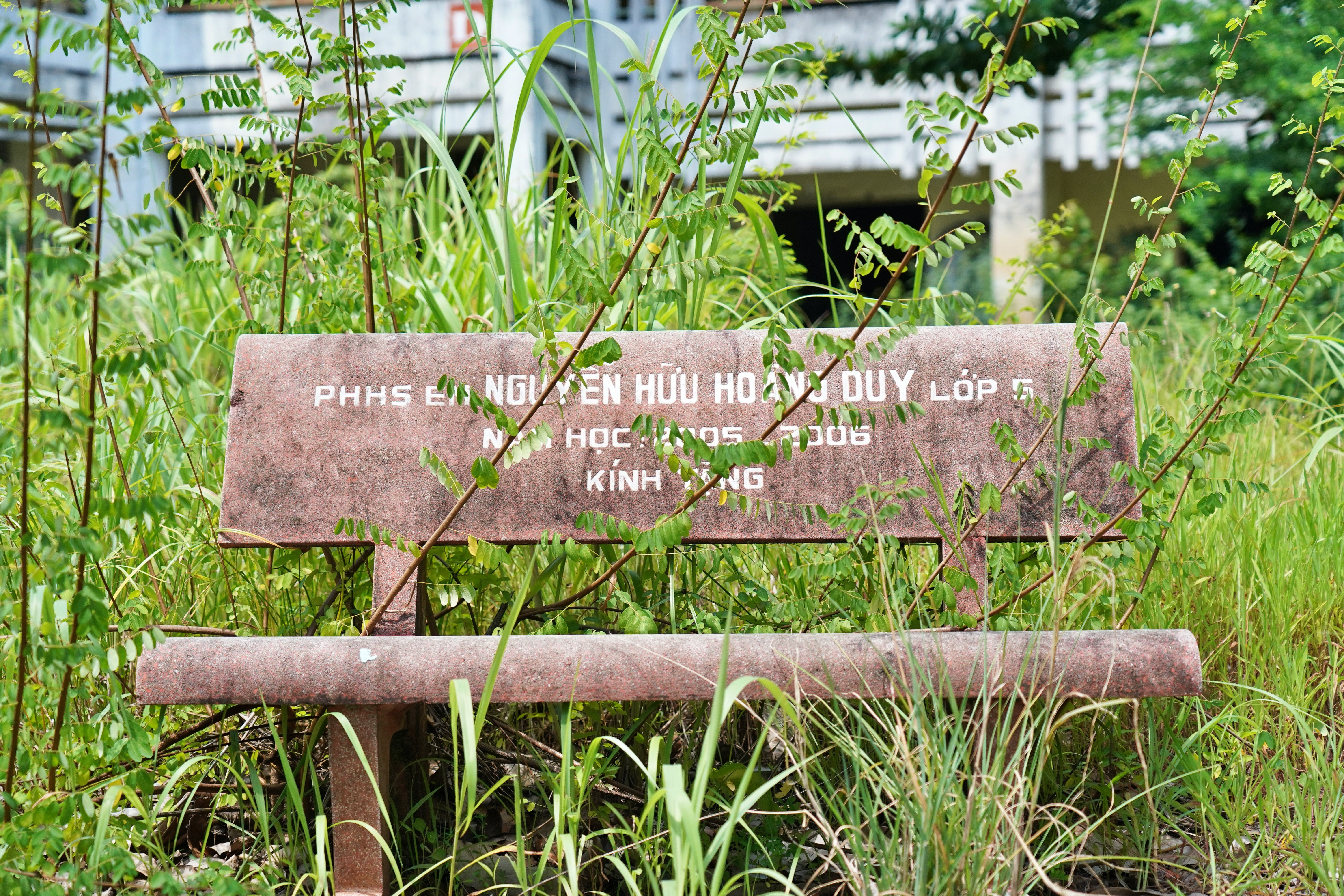 Cảnh u ám của trường học bị bỏ hoang gần 15 năm ở TP.HCM - 5