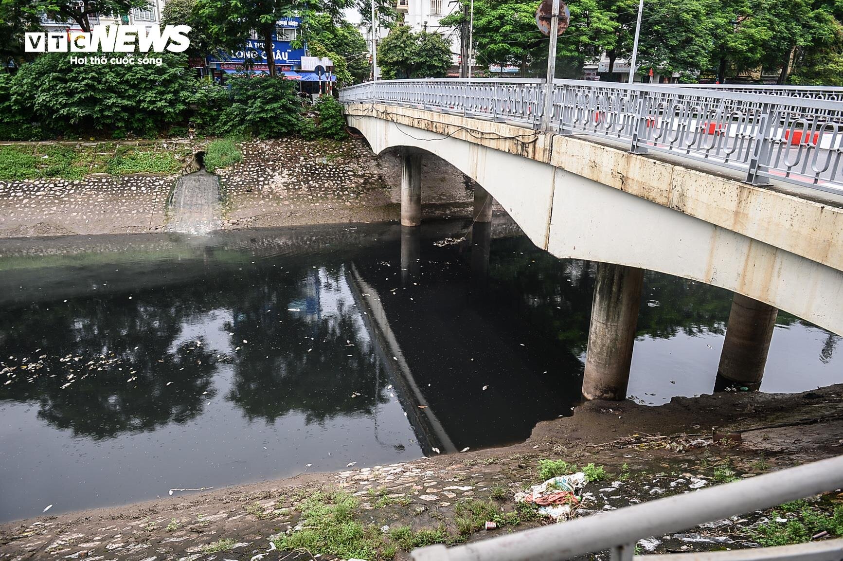 Sau vài ngày chuyển màu xanh, nước sông Tô Lịch lại đen kịt, bốc mùi hôi thối - 14