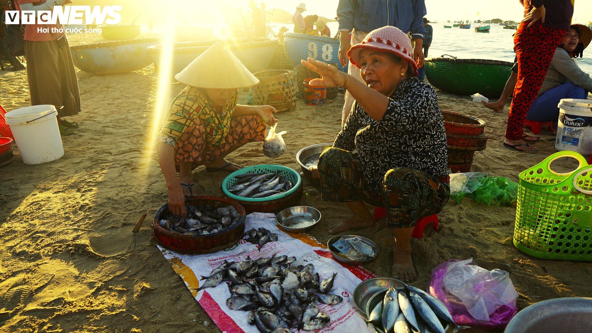 Bình minh tấp nập tại chợ hải sản ngay chân sóng ở Bình Định - 10