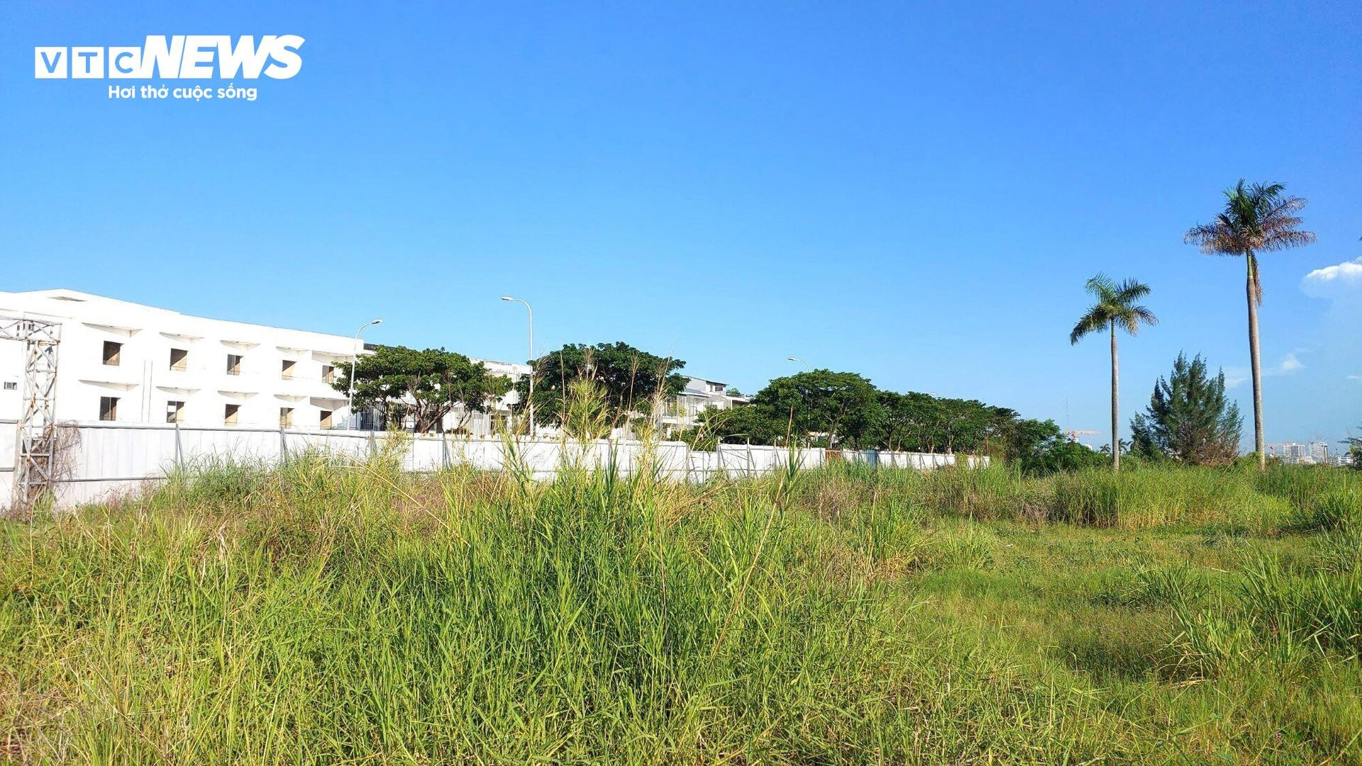 Dự án lấn sông Hàn Đà Nẵng cỏ cây mọc um tùm, là nơi người nghiện sử dụng ma túy - 6