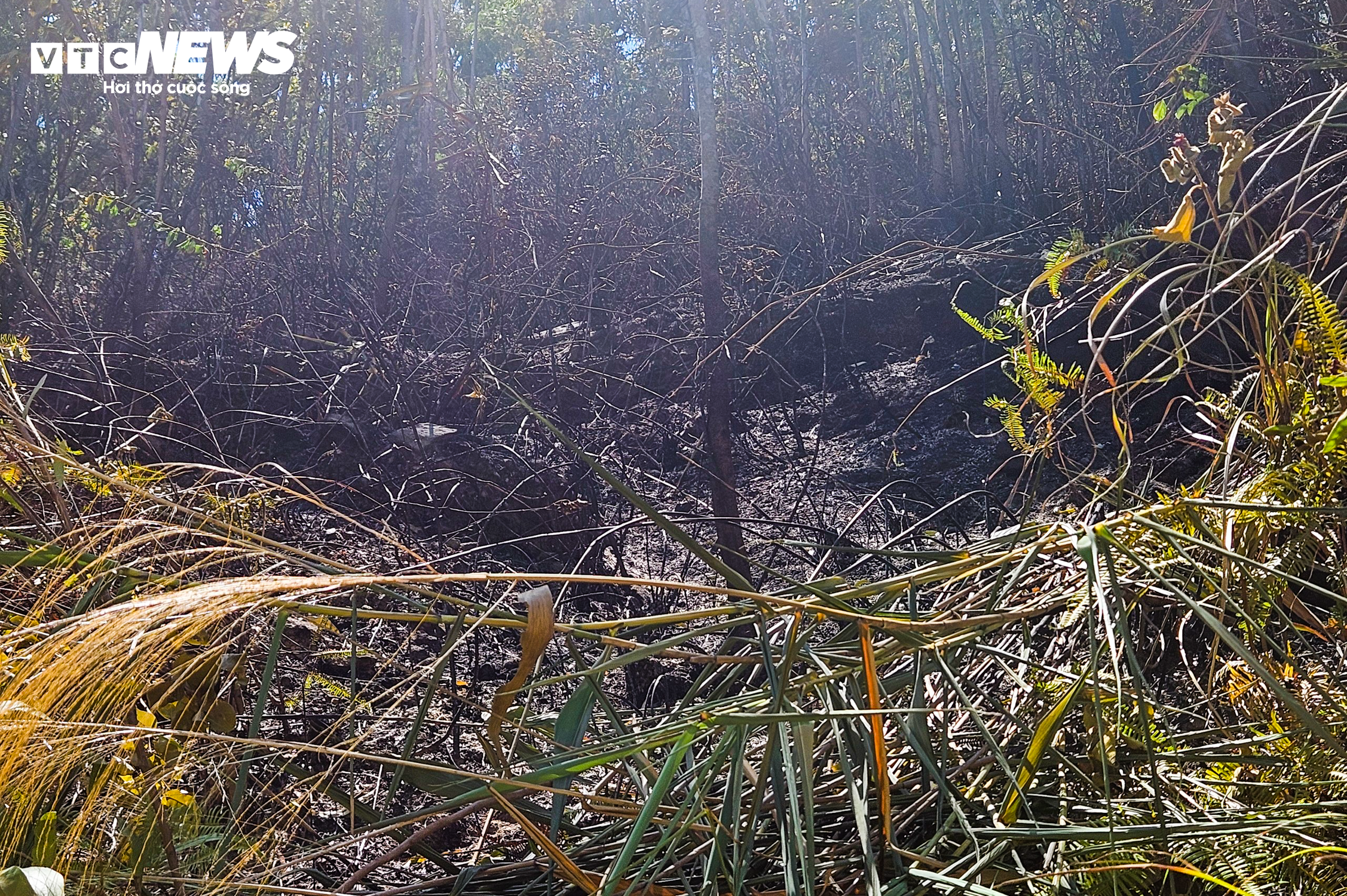 Cánh rừng ở Quảng Bình trơ trụi, nhiều xe máy bị thiêu rụi sau trận cháy lớn - 6