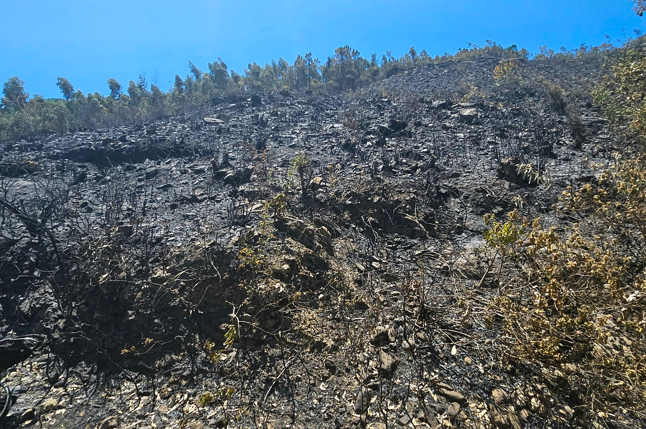 Cánh rừng ở Quảng Bình trơ trụi, nhiều xe máy bị thiêu rụi sau trận cháy lớn - 4