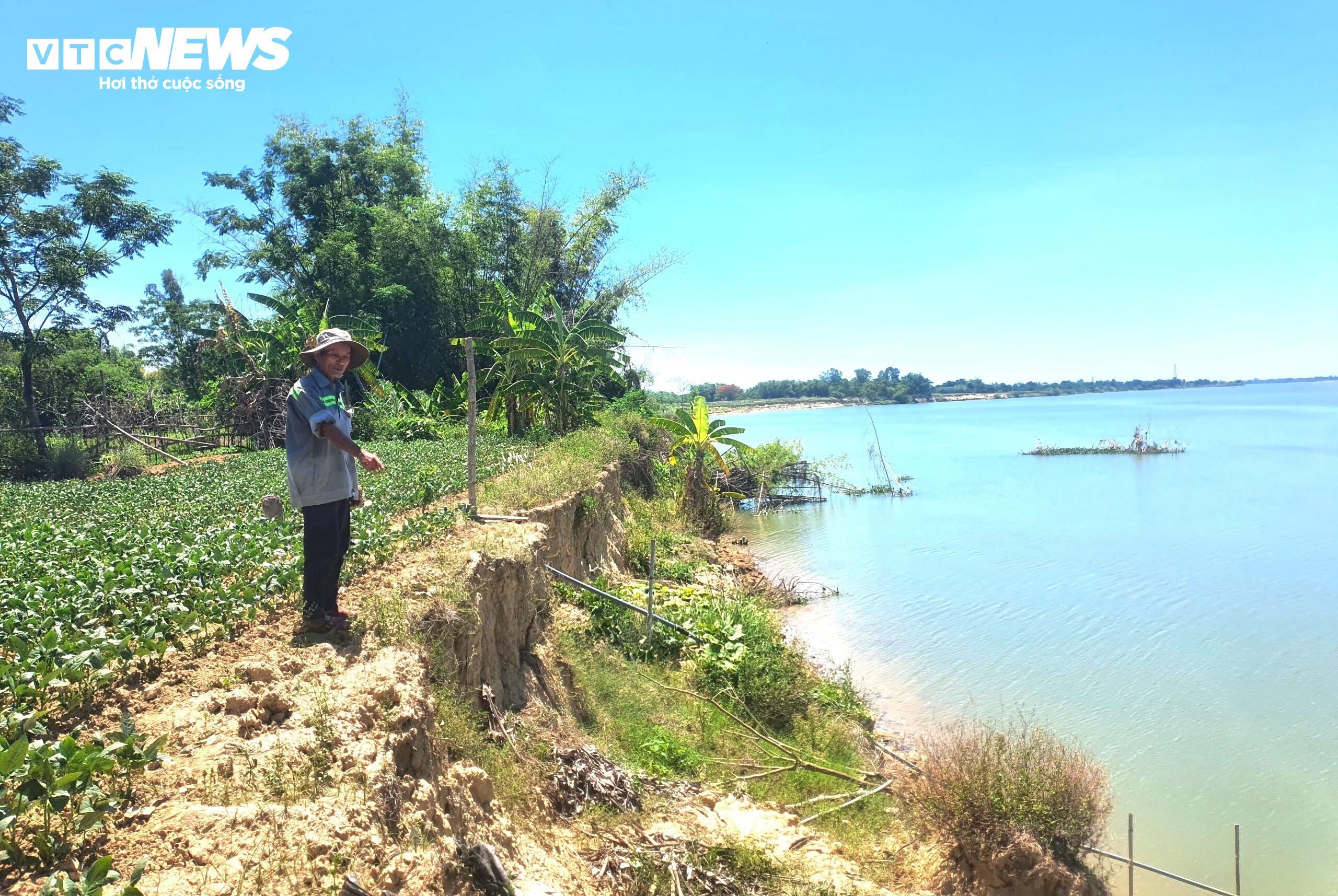 Quảng Nam: Sạt lở bờ sông Thu Bồn, nông dân đứng ngồi không yên - 2