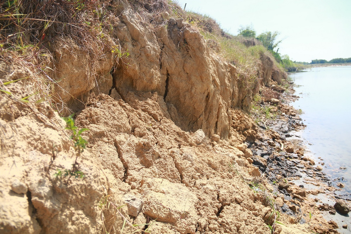 Quảng Nam: Sạt lở bờ sông Thu Bồn, nông dân đứng ngồi không yên - 5