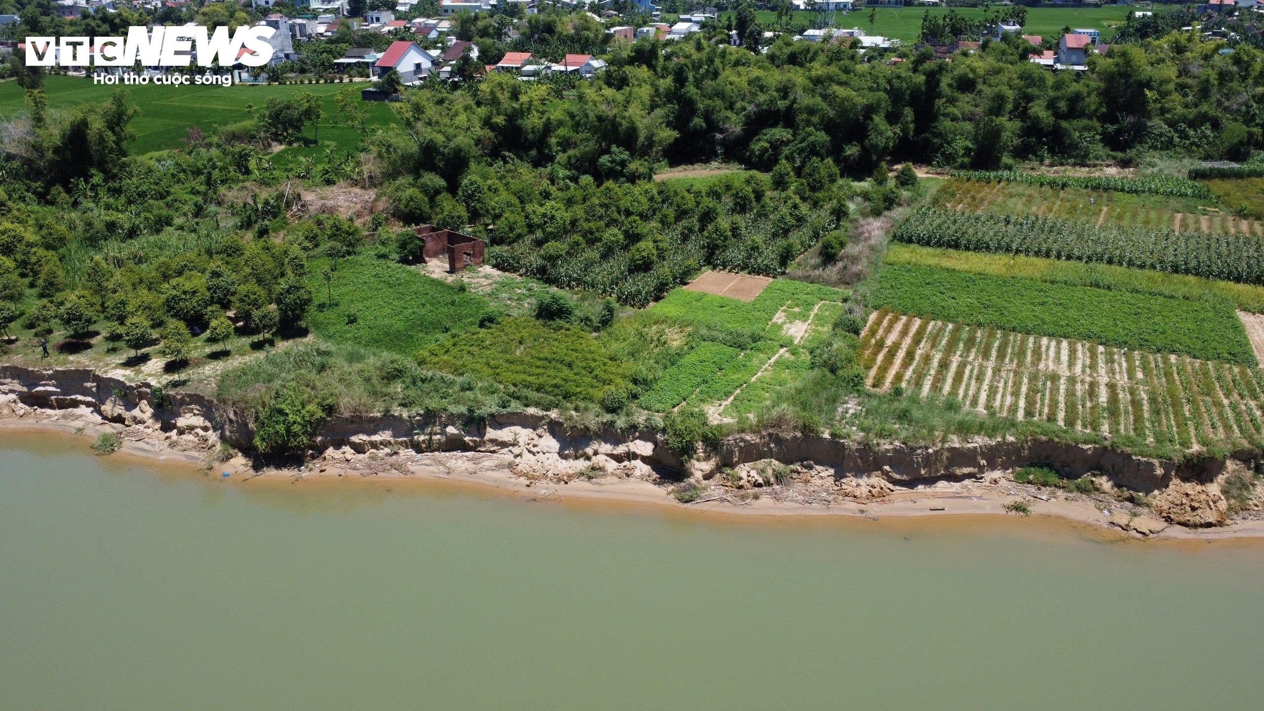 Quảng Nam: Sạt lở bờ sông Thu Bồn, nông dân đứng ngồi không yên - 4